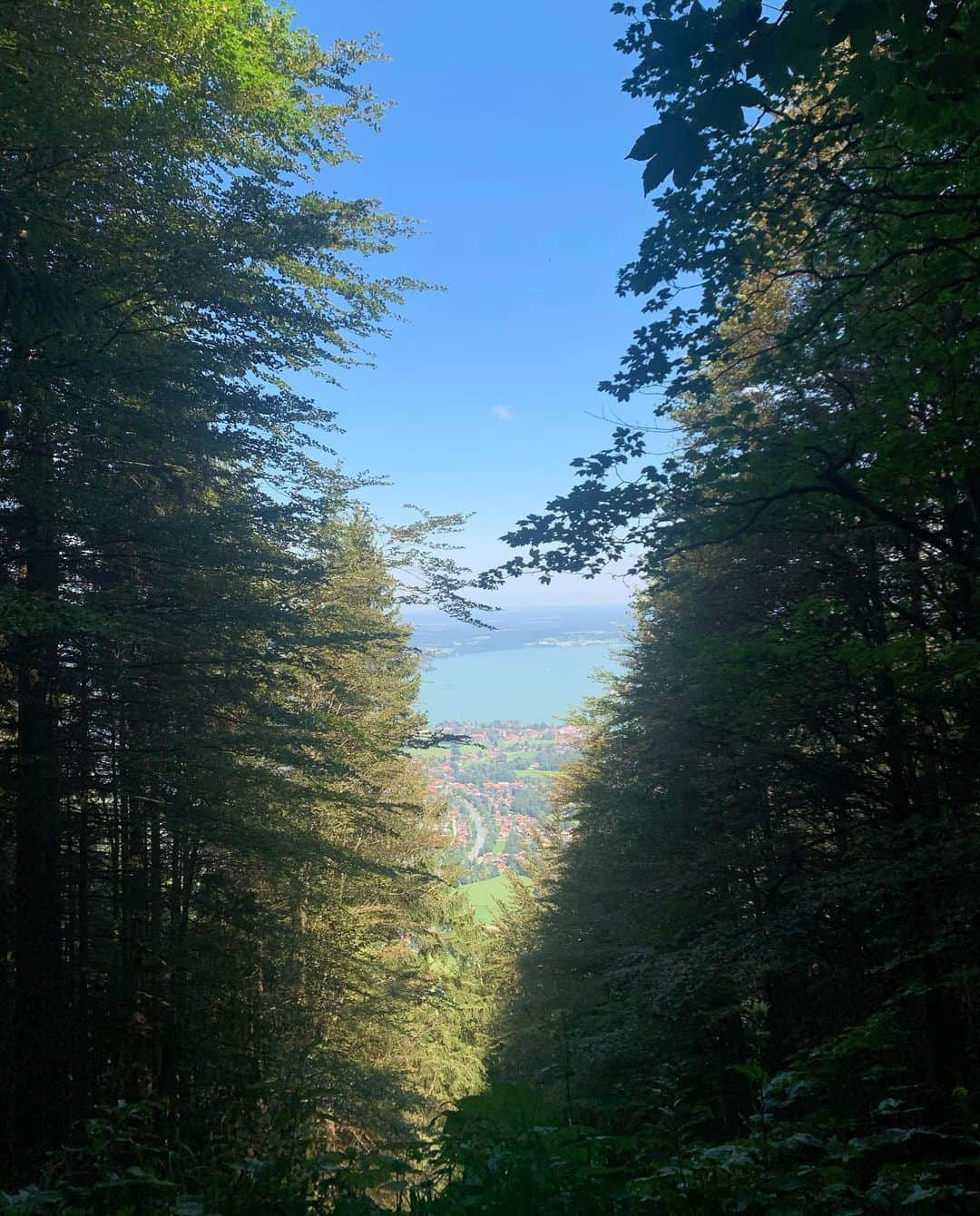 キャロライン・ダウルさんのインスタグラム写真 - (キャロライン・ダウルInstagram)「The higher the climb, the better the view🌞 (swipe)」8月9日 5時31分 - carodaur