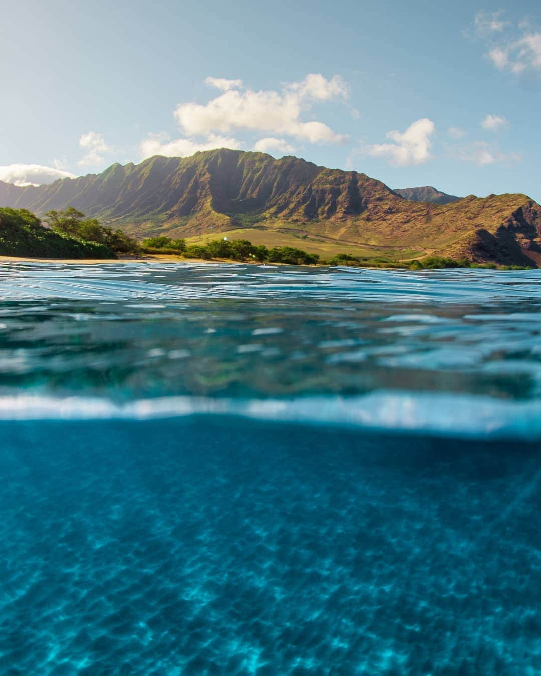 And Youさんのインスタグラム写真 - (And YouInstagram)「What is your favorite beach in the world? ​. ​. ​. ​. ​. ​. ​. ​. ​. ​. ​. ​. ​. ​. ​. ​. ​#hawaiian #travel #beaches #tropicalvacation #hawaiivacation #oahulife #overunder #underwaterphotography #landscapelovers」8月9日 6時51分 - dolphinsandyou