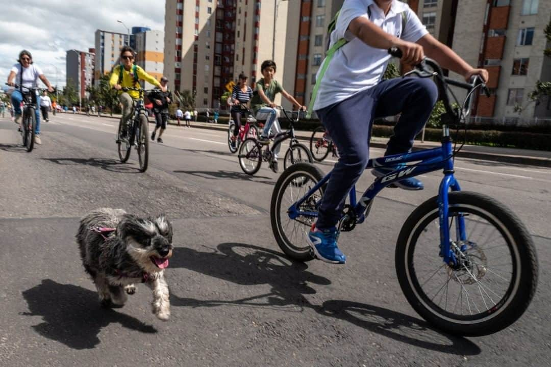 National Geographic Travelさんのインスタグラム写真 - (National Geographic TravelInstagram)「Photo by @juancristobalcobo  Cyclists ride on a main avenue in the north of Bogotá, Colombia. Every Sunday starting at seven in the morning, thousands of people claim the streets of this city’s main avenues and highways, replacing cars for bicycles, skates, scooters, or just plain walking. The event dates back to 1976 when a group of citizens concerned about the lack of public space for sports practice demanded that the city close stretches of roads usually filled with cars and buses. The experiment, called Ciclovía or Bikeway, continues to grow and has become one of the main attractions of this city, which is usually choked by impossible traffic. #bogota #colombia #bicycles」8月9日 7時03分 - natgeotravel