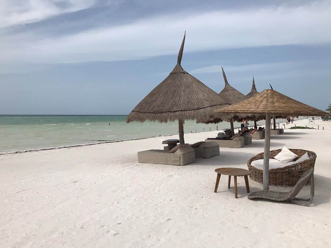 トームさんのインスタグラム写真 - (トームInstagram)「NO ONE: _______________________________ ME:My definitive guide to Luxe Holbox!  #IslaHolbox is a very special island 2 hrs drive from #Cancun airport to #Chiquila (where there is cheap parking, cheaper bicycle rickshaws and the ferry to Holbox) There is no cars on the island so the ferry gets you there (every 30 mins MXN$200) and golf buggies and bikes shuttle you about. Everything is fairly walkable from the cute town centre. Mostly a nature reserve of protected mangroves, Holbox is home to countless gorgeous birds, including flamingos, as well as crocodiles, turtles, and many mosquitoes. There is even a beach named Point Mosquito! There is no bad vibes or bad food on #Holbox and nary an annoying person in sight. This is the getaway for cool Mexicans (that’s basically all #Mexicans) and relatively subdued international tourists. Its like the Caribbean meets Comporta in Portugal. It’s not like  #Tulum, and it’s definitely not #PlayadelCarmen or #Cancun ; It’s not untouched but it’s not ruined...yet!  VISIT: Best Beach - #PlayaPuntaCocos, 10 min taxi from town and away from all of the resorts. This low key place on one end of the 26 mile island is paradise. Local Casper will sell you a shaded beach bed  for MXN$250 for the day and bring you #cerveza to your hearts content. 5 mins walk from here is one of the islands many magical swimming lagoons; the water remains super shallow till evening. This is as #Carribean as #Mexico gets. Grab a coconut on the sand; It’s perfect. Adventure Beach - essentially a giant sand bank in the ocean just off Mosquito Point is where we glimpsed a flamboyance of 23 flamingos! Go early as the tide comes in quickly and it’s 45 mins on foot so it’s tough even in the morning sun and impossible at night  Main Beach - where all the resorts front onto is a bit meh , covered in seaweed until evening, however you can grab an amazing hour long massage from various vendors (all good) for MXN$500 Whale Shark tour is 6 hours of torture on a tiny boat on the open ocean, though the pay off is swimming with these gentle creatures, snorkeling, bird watching and eating delicious fresh ceviche under an abandoned lighthouse.」8月9日 7時45分 - tomenyc