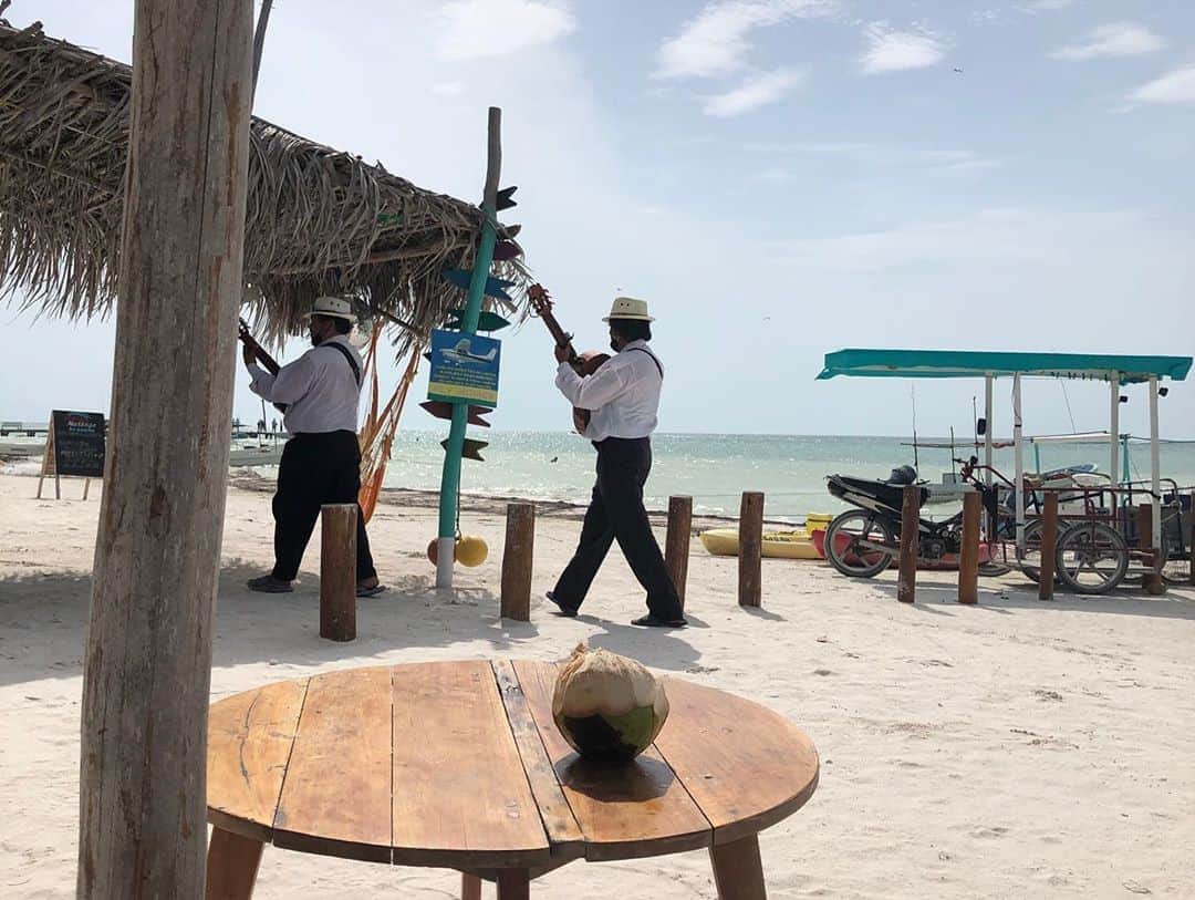 トームさんのインスタグラム写真 - (トームInstagram)「NO ONE: _______________________________ ME:My definitive guide to Luxe Holbox!  #IslaHolbox is a very special island 2 hrs drive from #Cancun airport to #Chiquila (where there is cheap parking, cheaper bicycle rickshaws and the ferry to Holbox) There is no cars on the island so the ferry gets you there (every 30 mins MXN$200) and golf buggies and bikes shuttle you about. Everything is fairly walkable from the cute town centre. Mostly a nature reserve of protected mangroves, Holbox is home to countless gorgeous birds, including flamingos, as well as crocodiles, turtles, and many mosquitoes. There is even a beach named Point Mosquito! There is no bad vibes or bad food on #Holbox and nary an annoying person in sight. This is the getaway for cool Mexicans (that’s basically all #Mexicans) and relatively subdued international tourists. Its like the Caribbean meets Comporta in Portugal. It’s not like  #Tulum, and it’s definitely not #PlayadelCarmen or #Cancun ; It’s not untouched but it’s not ruined...yet!  VISIT: Best Beach - #PlayaPuntaCocos, 10 min taxi from town and away from all of the resorts. This low key place on one end of the 26 mile island is paradise. Local Casper will sell you a shaded beach bed  for MXN$250 for the day and bring you #cerveza to your hearts content. 5 mins walk from here is one of the islands many magical swimming lagoons; the water remains super shallow till evening. This is as #Carribean as #Mexico gets. Grab a coconut on the sand; It’s perfect. Adventure Beach - essentially a giant sand bank in the ocean just off Mosquito Point is where we glimpsed a flamboyance of 23 flamingos! Go early as the tide comes in quickly and it’s 45 mins on foot so it’s tough even in the morning sun and impossible at night  Main Beach - where all the resorts front onto is a bit meh , covered in seaweed until evening, however you can grab an amazing hour long massage from various vendors (all good) for MXN$500 Whale Shark tour is 6 hours of torture on a tiny boat on the open ocean, though the pay off is swimming with these gentle creatures, snorkeling, bird watching and eating delicious fresh ceviche under an abandoned lighthouse.」8月9日 7時45分 - tomenyc