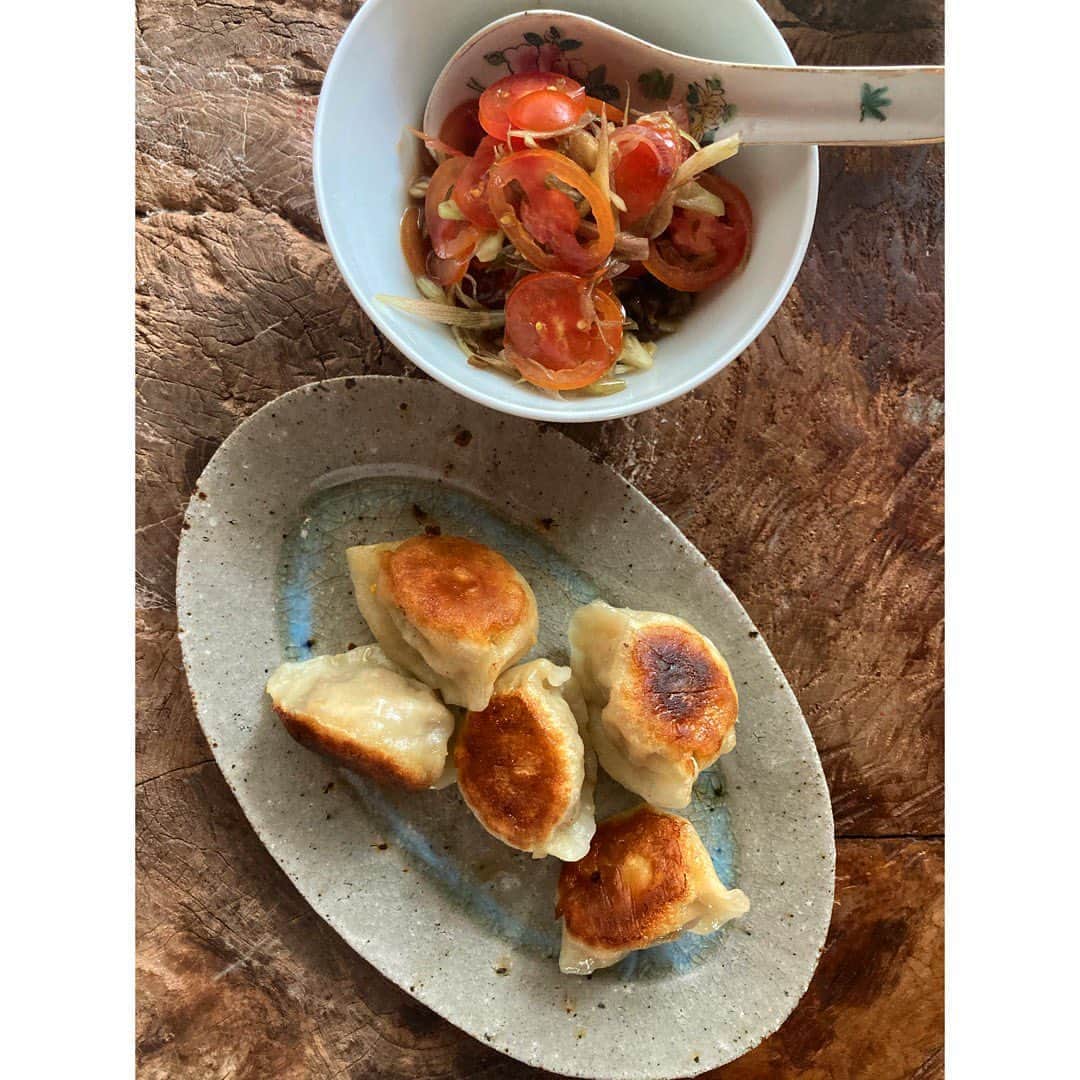 journaleatripのインスタグラム：「wild Okinawan wild boar  朝からあんまり美味しくてとっておきの為に 冷凍していた最後の餃子に手をだしてしまう。 . 朝だからと水餃子にするも せっかくだからと焼き餃子にも そしてなんならこのとても美味しい皮の感触を覚えているうちにと生地を打って平麺のようにして頂いてしまう。 .  食べ過ぎですが 夏は早起き朝がよいのです。  みなさま良き１日を！  #野生の琉球猪 #天然のイベリコ豚のよう #ペンギン食堂#あいりさんの美味しいはいつも満点」