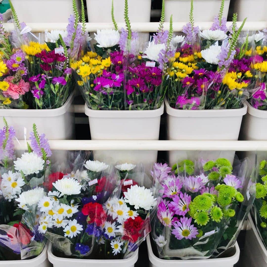 道の駅やちよさんのインスタグラム写真 - (道の駅やちよInstagram)「おはようございます！  今年は特別な夏☀️ 帰省するかしないか迷いますが😣 どちらを選んだとしても、健やかな気持ちで過ごしたいですね✨  お盆に向けてのお花の販売しています。 どうぞお立ち寄りください‼︎  #道の駅やちよ #道の駅 #八千代市 #花#買い物#散歩#ドライブ#お出かけ#休憩#野菜」8月9日 9時34分 - michinoeki_yachiyo090720
