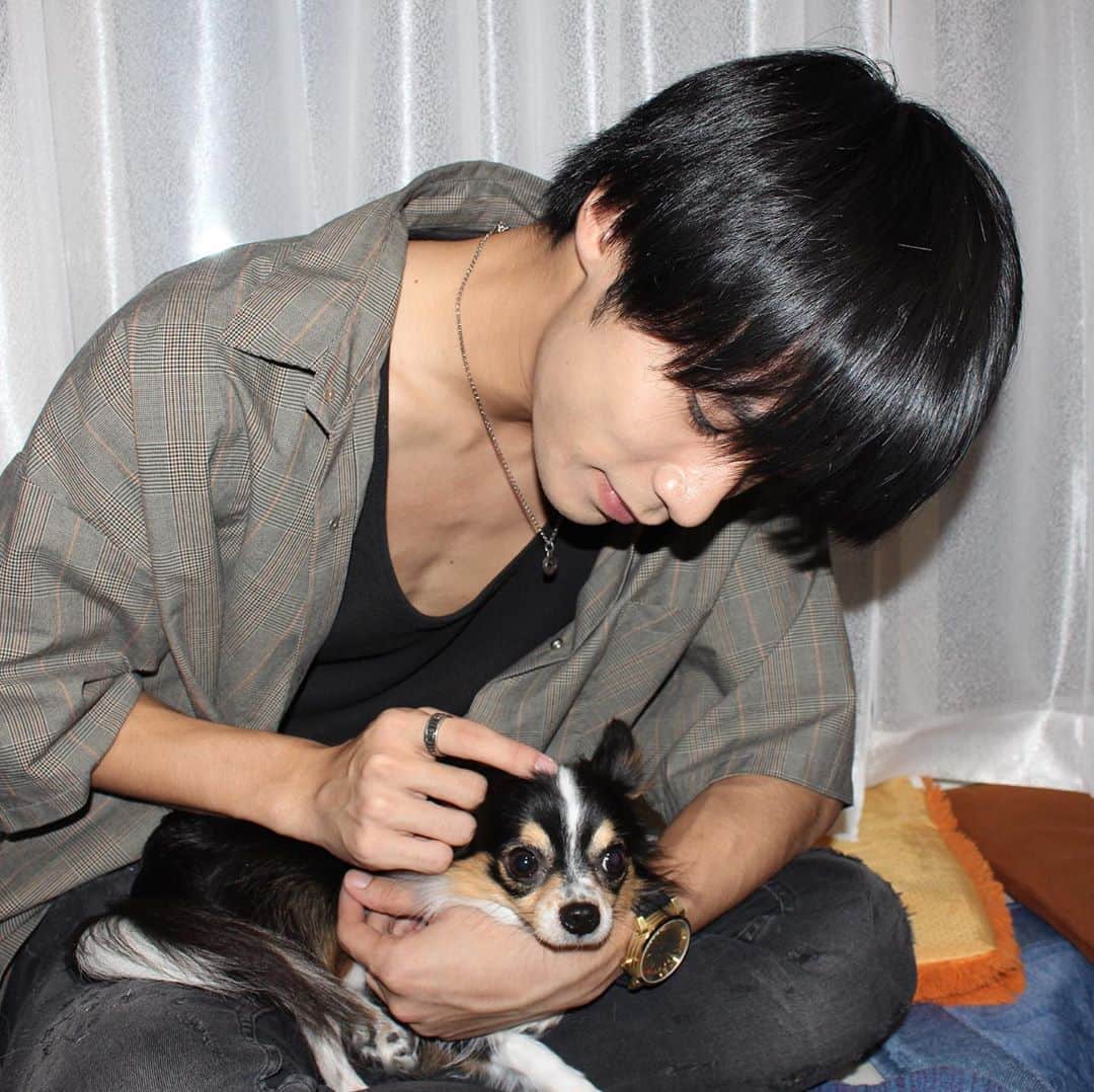 大谷悠哉さんのインスタグラム写真 - (大谷悠哉Instagram)「I love dogs」8月9日 9時49分 - s_410yuya