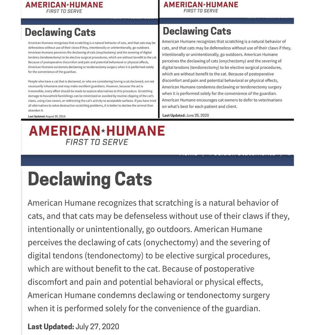 City the Kittyさんのインスタグラム写真 - (City the KittyInstagram)「Today we want to commend @americanhumane for trying to be Americans who are humane.  In 2017 and again in 2020, we asked them to reassess their outdated view on declawing cats. After getting no response, we decided to do a respectful social media campaign asking them to pay attention to this important issue. They responded with their best effort, which wasn't very strong. We suspect that it is weak because it was either written by vets or for vets: “American Humane encourages cat owners to defer to veterinarians on what’s best for each patient and client.” American Humane, that certainly was not written to protect cats.    So we asked them, once again, to completely condemn declawing.  They came back with this:  We oppose declawing "when it is performed solely for the convenience of the guardian."    Well, American Humane, what does that mean?  Do you support declawing cats for all the other unjustifiable reasons like protecting human health and to keep cats in their homes?  We have painstakingly proved to you that those reasons are not valid!  Why can't you just say the right thing?     Please politely encourage American Humane to stop hurting the cause with their weak and ambiguous statement that is clearly written in language that protects the vets who want to still declaw.     It’s so easy. Just do the right thing or get out of the game.    If their statement were written to protect cats, it would be strong and say, "We condemn declawing cats or any animals for any reason. Removal of physical pathology in a toe is a therapeutic procedure that we do not call declawing."     American Humane, please remove your position statement all together if you can't be humane.   PS Humane meat doesn't exist so stop BS’ing us there too.  Since we can’t fit American Humane's full declawing position statement here, we posted it as a photo so swipe left and you can read it. #americanhumane #bethechange #americanhumaneassociation」8月9日 9時54分 - citythekitty