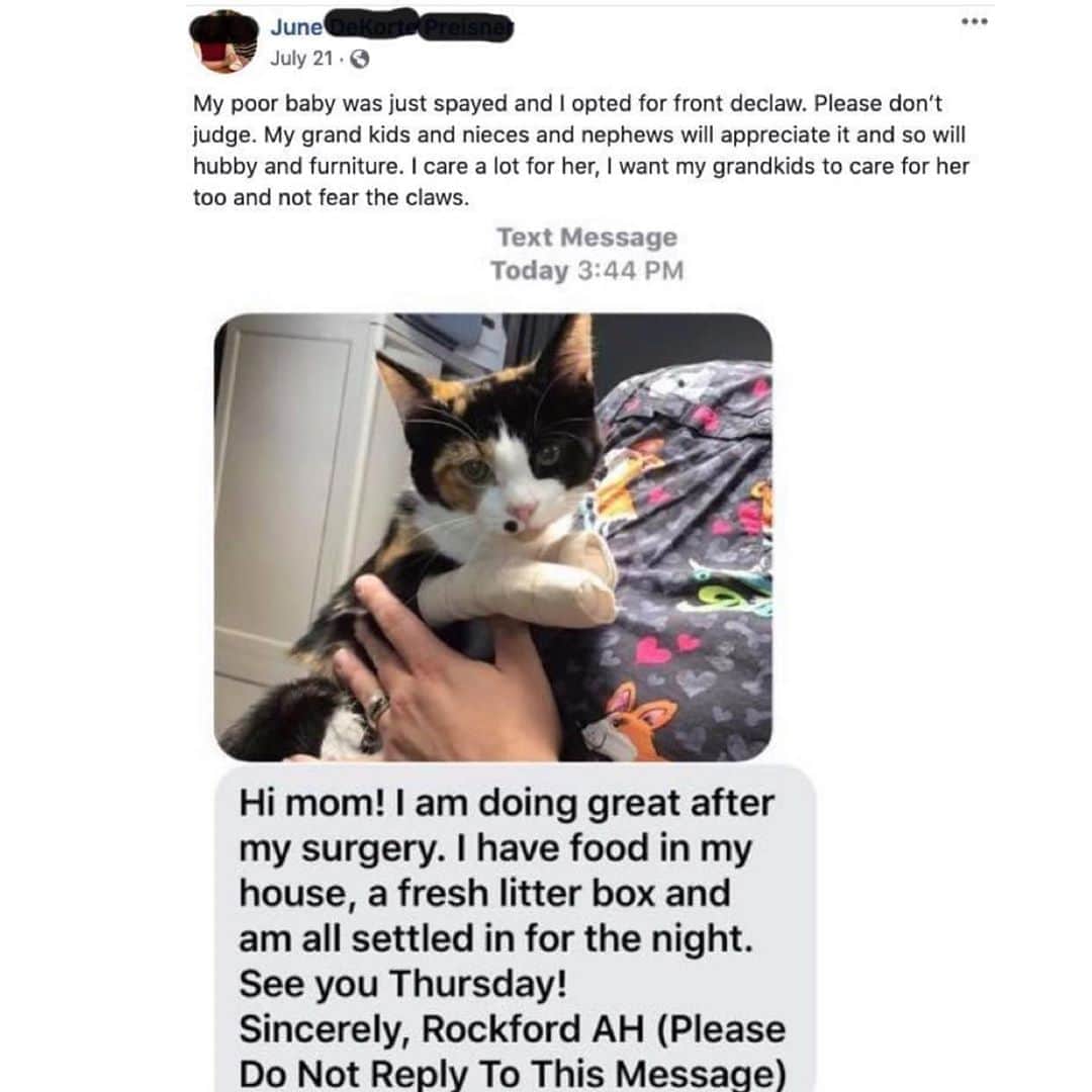 のインスタグラム：「This cause is so depressing and draining. This is truly sickening. 😿  June came on our FB page and wrote, "Good thing I got Cali done already" on one of our posts. One of our supporters did some detective work and found this post on her fb page and sent it to us.  Rockford Animal Hospital in Michigan is an @catfriendlyhomes American Association of Feline Practitioners SILVER CAT FRIENDLY PRACTICE.🙀 Rockford Animal hospital sent this photo and note to the cat owner after Dr Carol Good declawed poor little Cali. . We sent a polite email to Dr Good and asked her if she educates cat owners like June about how bad declawing is for their cats and counsels them on the easy, humane options. No reply.  Fyi, there is also a declawing review on Rockford's fb page from just last year about a poor little cat named Scar.  . We sent June a note asking her if Dr Good educated her about declawing and the easy humane options and she thanked us for being a "champion for our kitties." She said there were a number of things that went into her decision to "front declaw Cali", she said Dr Good, her vet for over 30 years has been amazing, she never had a cat declawed before. She said Dr Good explained everything and she is a wonderful, caring vet. She said Dr Good is "very concerned with the good of the pet as well as sensitive to the needs of the owner. " She said Cali was the kitten of a stray her friend took in and she takes good care of her animals, and said the choice to declaw was not lightly made. She said it was many factors, and heavily considered. She said Cali is 5 months old, and is healthy and playful! She said she gives us credit for making the public aware of possible dangers. She said, "Again, it is an owner preference, but should be chosen carefully. Good luck to your group. It helps to speak kindly, and seek information. I apologize for commenting in the first place, I knew how volitile some people can be! that was bad judgement of my part." . PLEASE TAKE A MINUTE & SIGN OUR PETITION TO AAFP AND SEND THEM A POLITE EMAIL ASKING THEM WHY THEY ARE STILL ALLOWING DECLAWING IN THEIR CAT FRIENDLY PRACTICES. 💵😾info@catvets.com Our petition is on our Instagram bio link.」