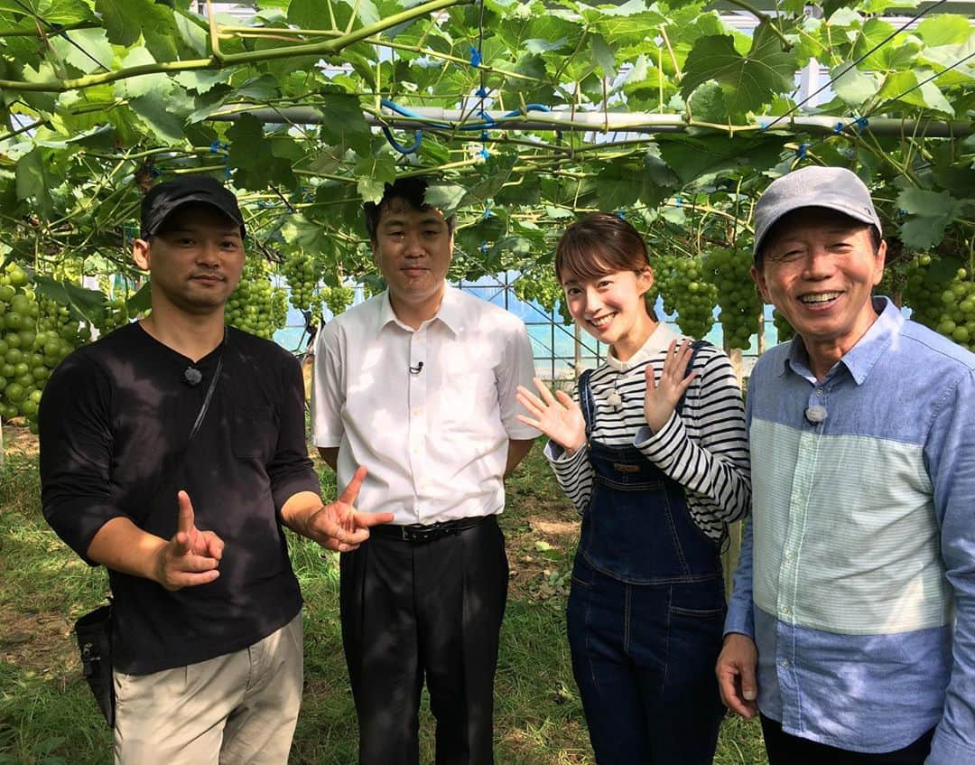 澤井志帆さんのインスタグラム写真 - (澤井志帆Instagram)「.﻿ 2020.8.9﻿ ﻿ ﻿ きょう午前11時40分〜﻿ 「ごちそうカントリー」﻿ ﻿ 今回は静岡市のぶどう園にお邪魔して﻿ 農作業のお手伝い等させて頂きました🍇﻿ ﻿ 是非ご覧ください✨﻿ ﻿ ﻿ ﻿ #ごちそうカントリー﻿ #ぶどう﻿ #ぶどう狩り ﻿ #葡萄﻿ #マスカット　﻿ #瀬戸ジャイアンツ ﻿ #Daiichitv﻿ #アナウンサー」8月9日 10時27分 - shiho_sawai