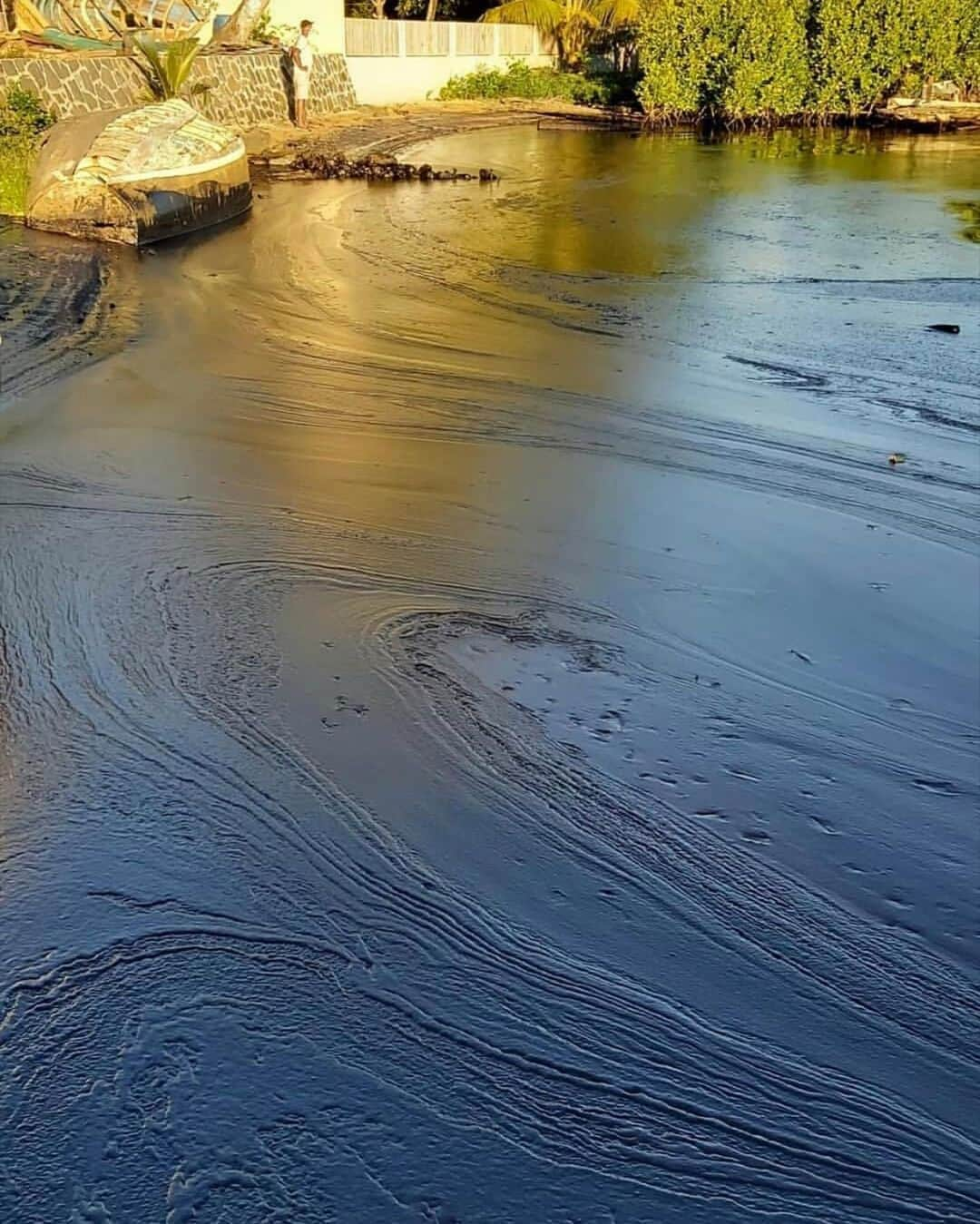 ティモシー・サイクスさんのインスタグラム写真 - (ティモシー・サイクスInstagram)「⚠️PLEASE SHARE AS WE MUST GET MORE HELP FOR MAURITIUS!⚠️ Repost from @savethereef Swipe over to see all the devastating videos and photos of the oil spill happening right now in Mauritius as their coastline is now covered in thick black oil, killing all wildlife and marine life in its path and destroying the beaches, mangroves and trees. “We are in an environmental crisis situation,” admitted the environment minister, Kavy Ramano last night, while the fishing minister, Sudheer Maudhoo, said: “This is the first time that we are faced with a catastrophe of this kind and we are insufficiently equipped to handle this problem.” SO LET’S ALL HELP THIS TINY ISLAND NATION! Please share these new videos/photos with your followers, encourage them to share too and tag people, celebrities, influencers and news media who need to see this as we must ALL work together to get them help before any more of their coral reefs, seabirds, rare turtles and other animals are smothered in oil, not to mention the harmful effects for all the people in the area due to the noxious smell from the fuel. Thanks to French President @emmanuelmacron for acknowledging the crisis and sending help from nearby French-owned Reunion island to try to pump out the remaining fuel from the ship, but Mauritius NEEDS MORE HELP as they don’t have the equipment necessary for a full cleanup and every minute more and more oil leaks out, killing all marine life and their reef! Local politicians have now asked the United Nations for more help to contain the damage so we can ALL help too by spreading awareness about this URGENT crisis on our social media platforms to get them more ships, equipment and cleanup experts involved in this massive rescue effort! Photos/videos by @willowrivertonkin @defimedia.info @_klerish_ @aliciarountree @mauritius__explored @savemauritiusreef @karmagawa #SaveMauritiusReef #oilspill #karmagawa #savethereef」8月9日 10時36分 - timothysykes