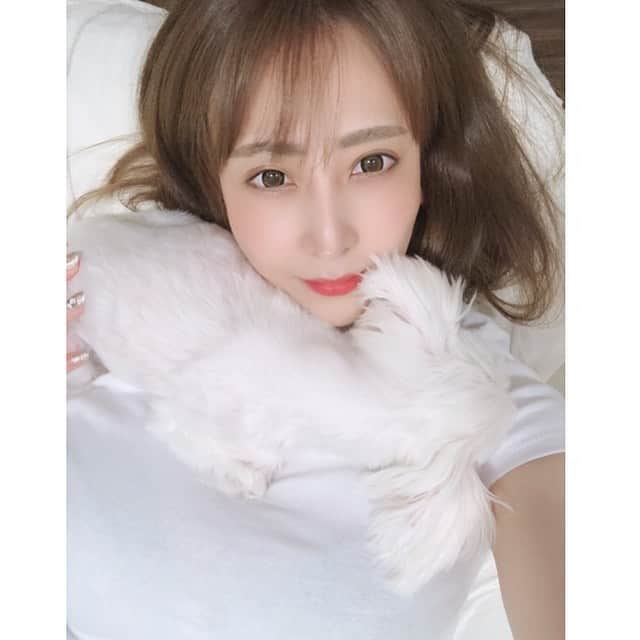 のインスタグラム：「ママの首で寝ます💤👩 フラちゃん🐩どうしてそんなにかわいいの？❤️ 夏休みー🌞💕遊びに行きたい⭐️ #愛犬 #愛犬との暮らし #いぬすたぐらむ #フラン #フラちゃん　#夏 #夏休み #遊びに行きたい #ハッピー💕」