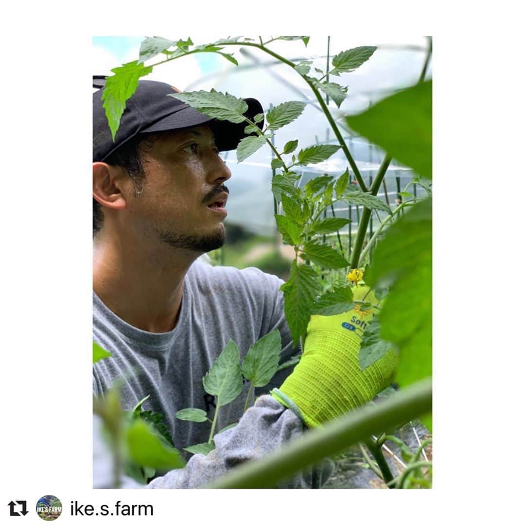 池内博之さんのインスタグラム写真 - (池内博之Instagram)「夏の作業は大変です🌱🌱🌱🌱 @ike.s.farm #畑#オーガニック #organic  #夏野菜」8月9日 11時58分 - hiroyuki.ikeuchi