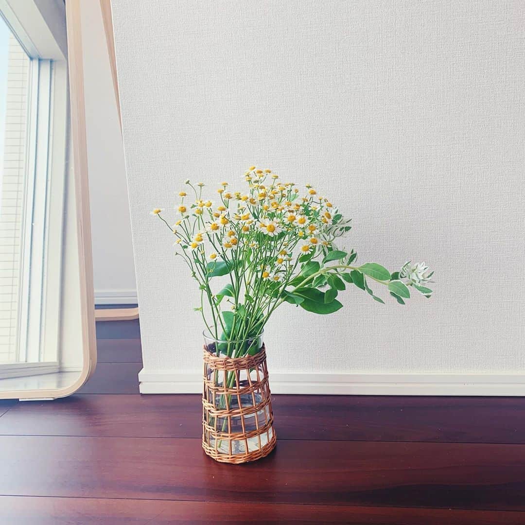 わちみなみのインスタグラム：「新しいお花😃、花瓶🌟﻿ #わちみどり　﻿ ラタン好きだわあ﻿ 野生っぽい👻﻿ ﻿ 昨日は、LINELIVE見てくれてありがとう﻿ またやるね☺️﻿ ﻿ 今日はレディースの試合応援行ってきますっ！﻿ ﻿ #ラタン　#花瓶　#花のある暮らし」