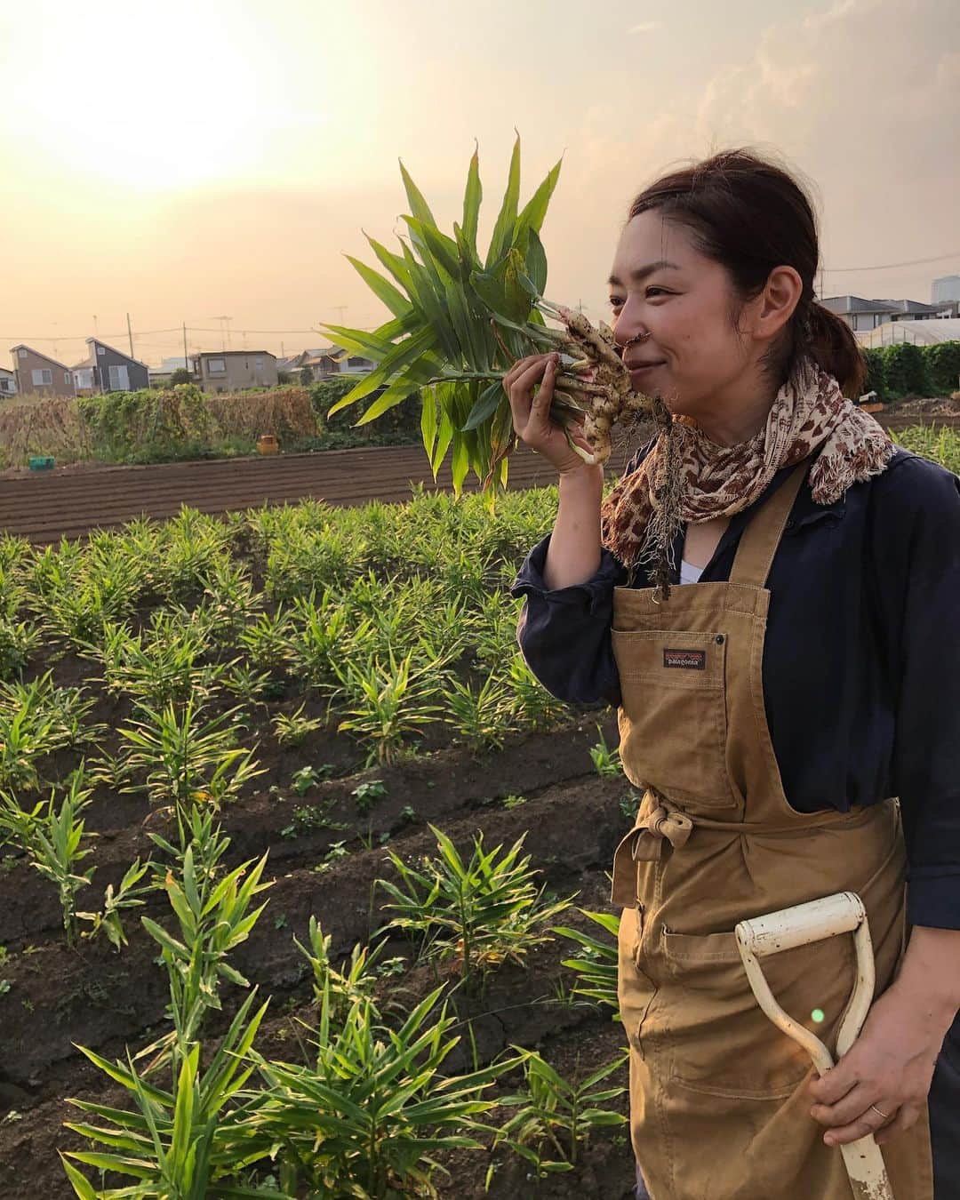 加藤紀子さんのインスタグラム写真 - (加藤紀子Instagram)「抜きたて新生姜😍 初恋みたいな（イメージ）香りがしました。  #カトノリ農園  #新生姜 #畑からこんにちは」8月9日 22時05分 - katonoriko