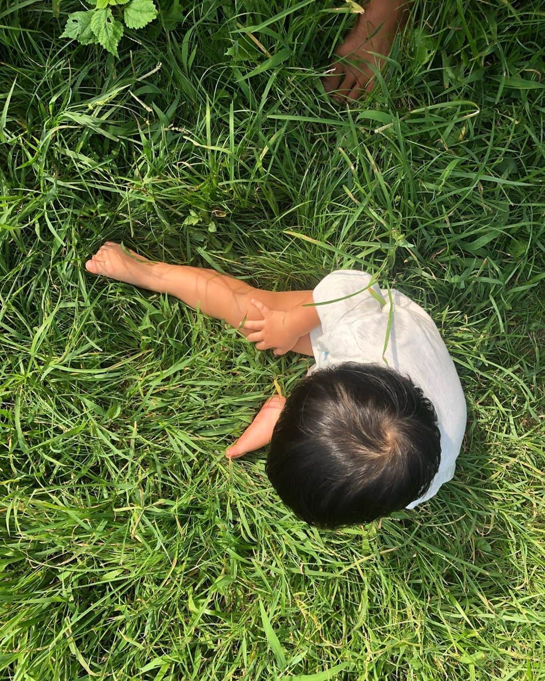 ヒデトレのグルメインスタ