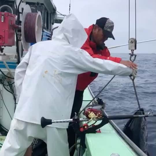 のインスタグラム：「大魔神マグロ釣りの巻🍣 #マグロ釣り#お世話になりました#漁師になりたい #大魔神#鮪#釣りばか♡#釣り好き #釣りスタグラム #マグロバックは高級バック #👜 #fishing #🎣 #tuna」