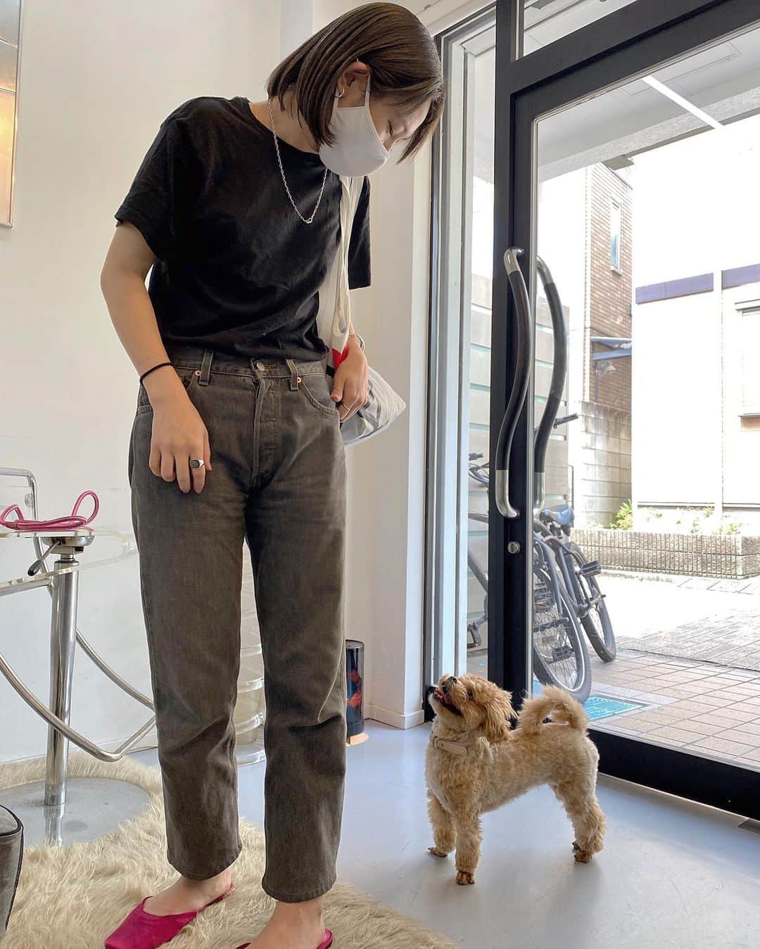 Manitasのインスタグラム：「@hope__hair で谷口くんにカラーしてもらいました。遠くてもほんのりわかるくらいきれいな色〜。 谷口くんいつもありがとう〜！ 今日もみんなに可愛がてもらてよかたねコマちゃん🐶💕 #谷口くんがとてもよい写真撮ってくれた」