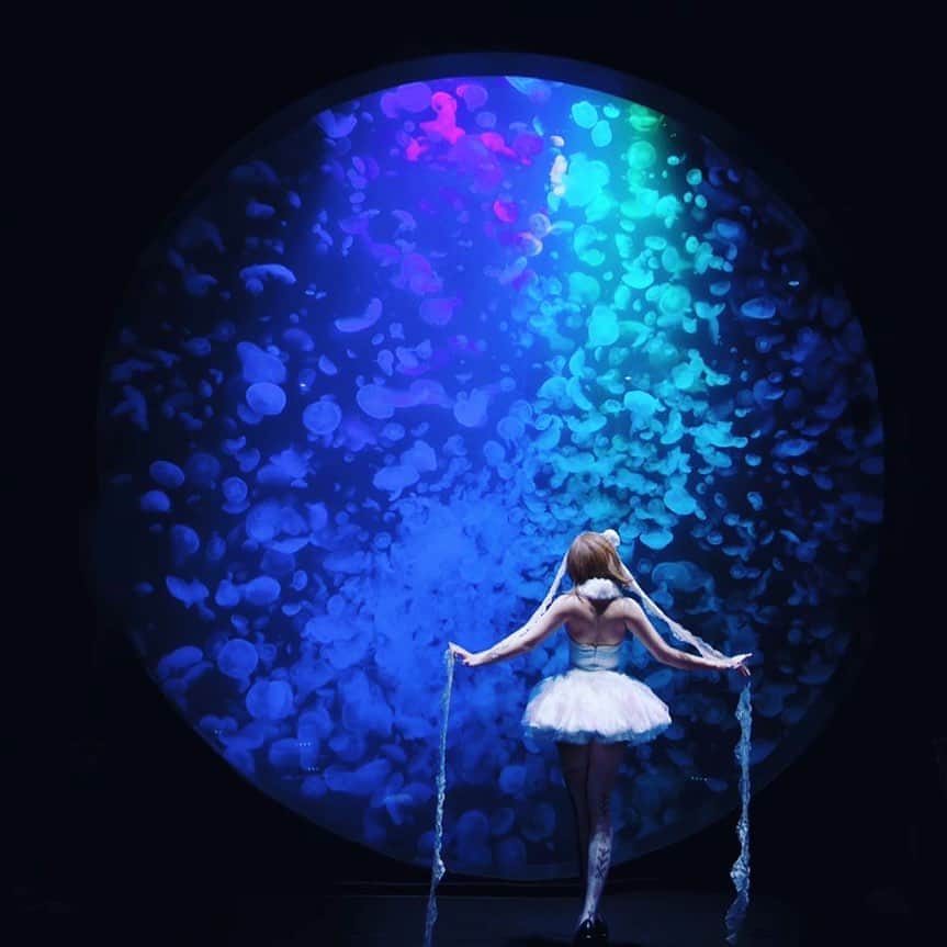 林檎蜜紀さんのインスタグラム写真 - (林檎蜜紀Instagram)「‪ 海月のバレリーナ🩰  She is a jellyfish ballerina. 🩰 She live in the deep sea..... #創作コスプレ #Jellyfish  #クラゲ #cos ‪#aquarium  #kamoaquarium #加茂水族館 #ballerina #japanesegirl」8月9日 23時00分 - ringo_mitsuki