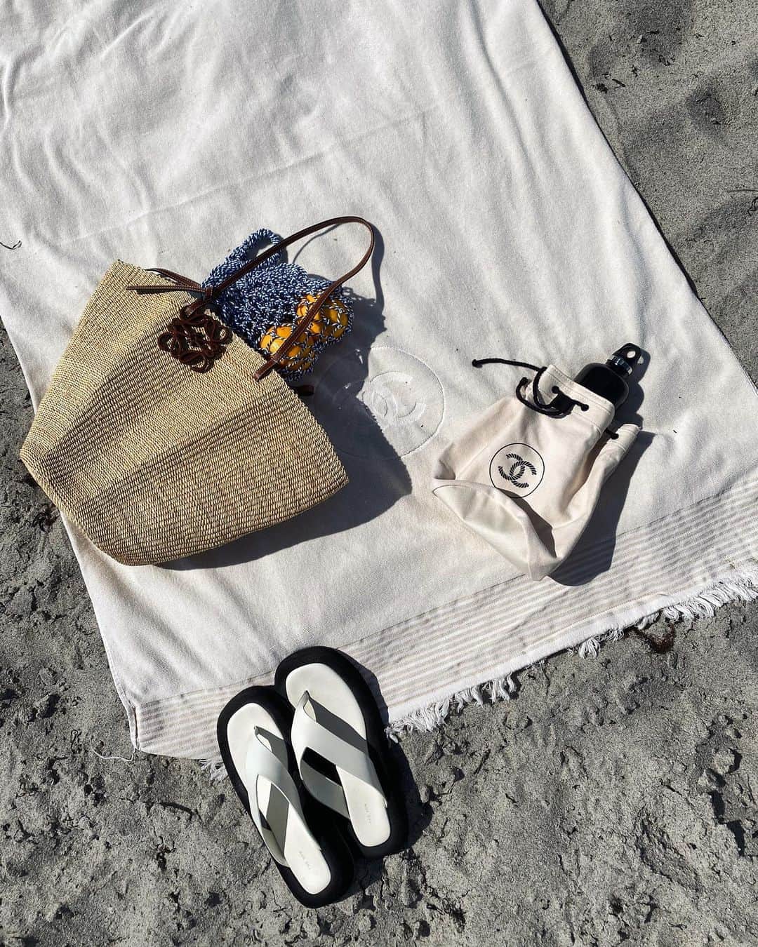 のインスタグラム：「🐚」