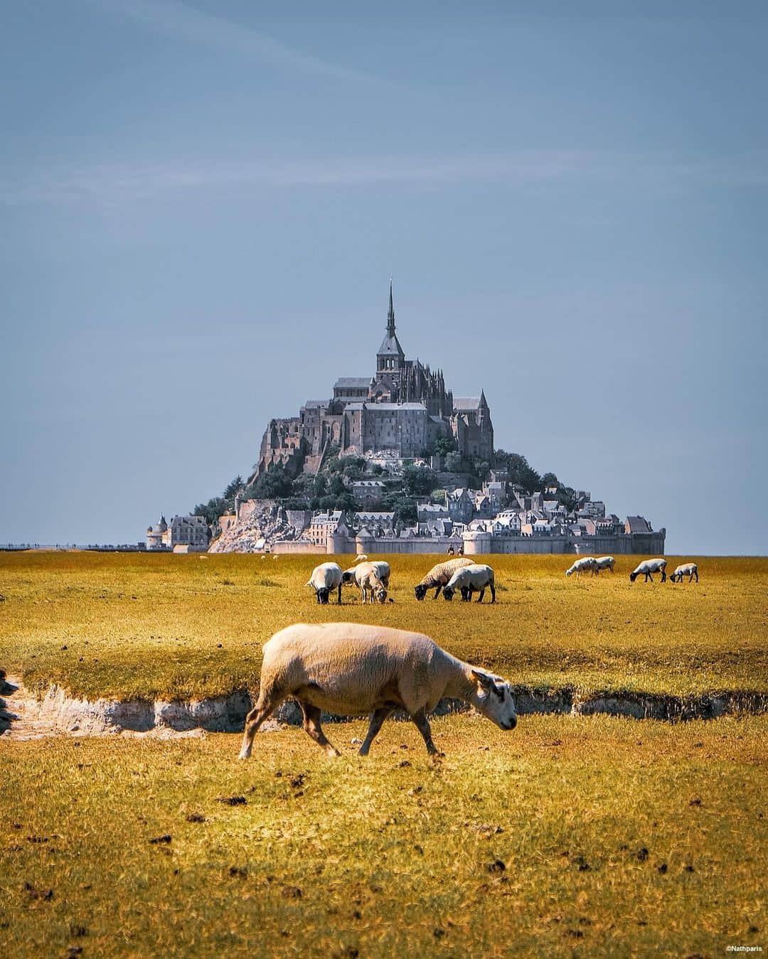 nathparisのインスタグラム：「LAMBS FROM SAINT-MICHEL 🐑... . Petite balade Normande autour du Mont Saint-Michel, si vous ne connaissez pas la région je vous conseille d’y faire un tour, la région est magnifique et tellement dépaysante 💚💙 . Small Normandy walk around the Mont Saint-Michel, if you don’t know the region I advise you to take a tour, the region is magnificent and so refreshing 💚💙 . #CetEteEnNormandie #Normandie #Normandy #CetEteJeVisiteLaFrance #MontSaintMichel」