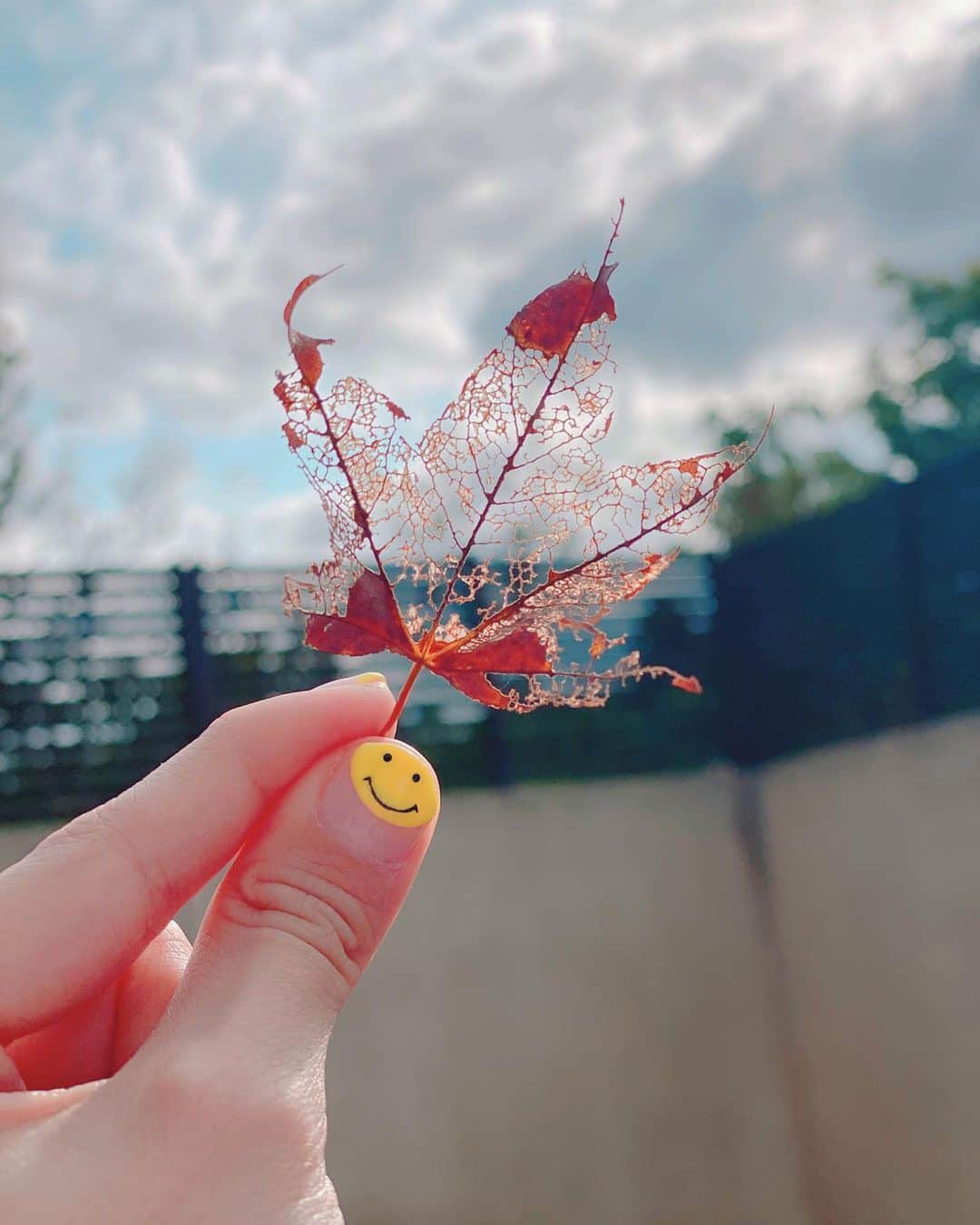 ハンナ・クインリヴァンのインスタグラム：「Let this Sunday be a rainbow for the entire upcoming week! Shine & smile! 💕」
