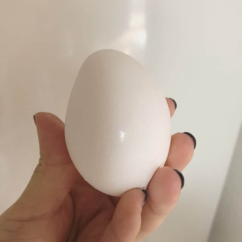 鞘師里保さんのインスタグラム写真 - (鞘師里保Instagram)「なんかちょっと変な形？🥚The shape is a bit weird, isn’t it🤔?」8月9日 14時31分 - riho_sayashi_insta