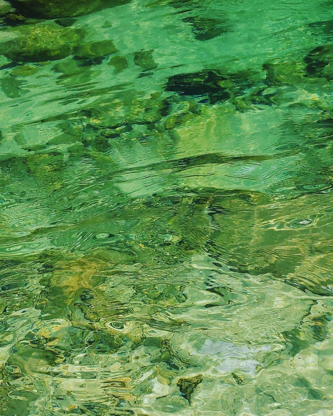 神長汐音さんのインスタグラム写真 - (神長汐音Instagram)「夏ですね。 水は冷たかった。 スマホカメラの本気  #summer#夏#川 #川上村#川端下 #galaxyカメラ部  #galaxynote10plus」8月9日 14時39分 - shione.kaminaga