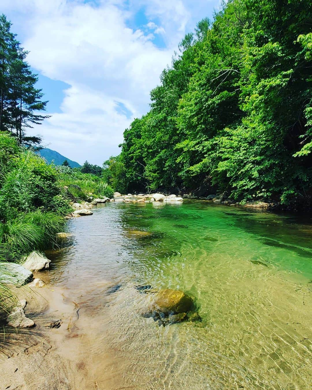 神長汐音のインスタグラム：「夏ですね。 水は冷たかった。 スマホカメラの本気  #summer#夏#川 #川上村#川端下 #galaxyカメラ部  #galaxynote10plus」