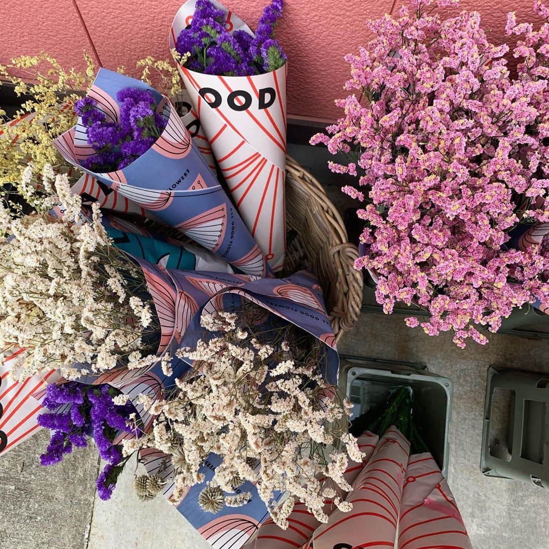 織田奈那さんのインスタグラム写真 - (織田奈那Instagram)「植物に囲まれて生活したい🌴🌵🌲🌳🌿 #部屋に花とか置きたいけどすぐ枯らしちゃうTT」8月9日 14時49分 - odanana924