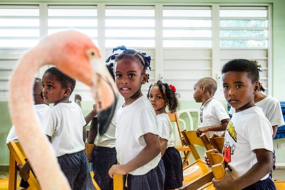 ナショナルジオグラフィックさんのインスタグラム写真 - (ナショナルジオグラフィックInstagram)「Photo by @jasperdoest  Flamingo Bob visits the A.E. Goiloschool in Julianadorp, Curaçao. Shortly after my cousin Odette, a veterinarian, rescued Bob, she realized he would never make it back to the wild because of his permanent injuries. But because he is so relaxed around people, she recognized a unique opportunity: Bob could help her with conservation education at local schools.   Now more than ever, it is essential to teach children about wildlife conservation. Turns out Bob's the best teacher—all the kids love him. When the flamingo starts flapping his wings, children start to flap their arms, and so do grown-ups. They are mesmerized by his beauty. Follow @jasperdoest for more images of Flamingo Bob, who is slowly becoming instafamous. #flamingobob #meetbob #flamingo #birdambassador #flamingolove  Check out Nat Geo's link in bio for more on this story.」8月9日 15時44分 - natgeo