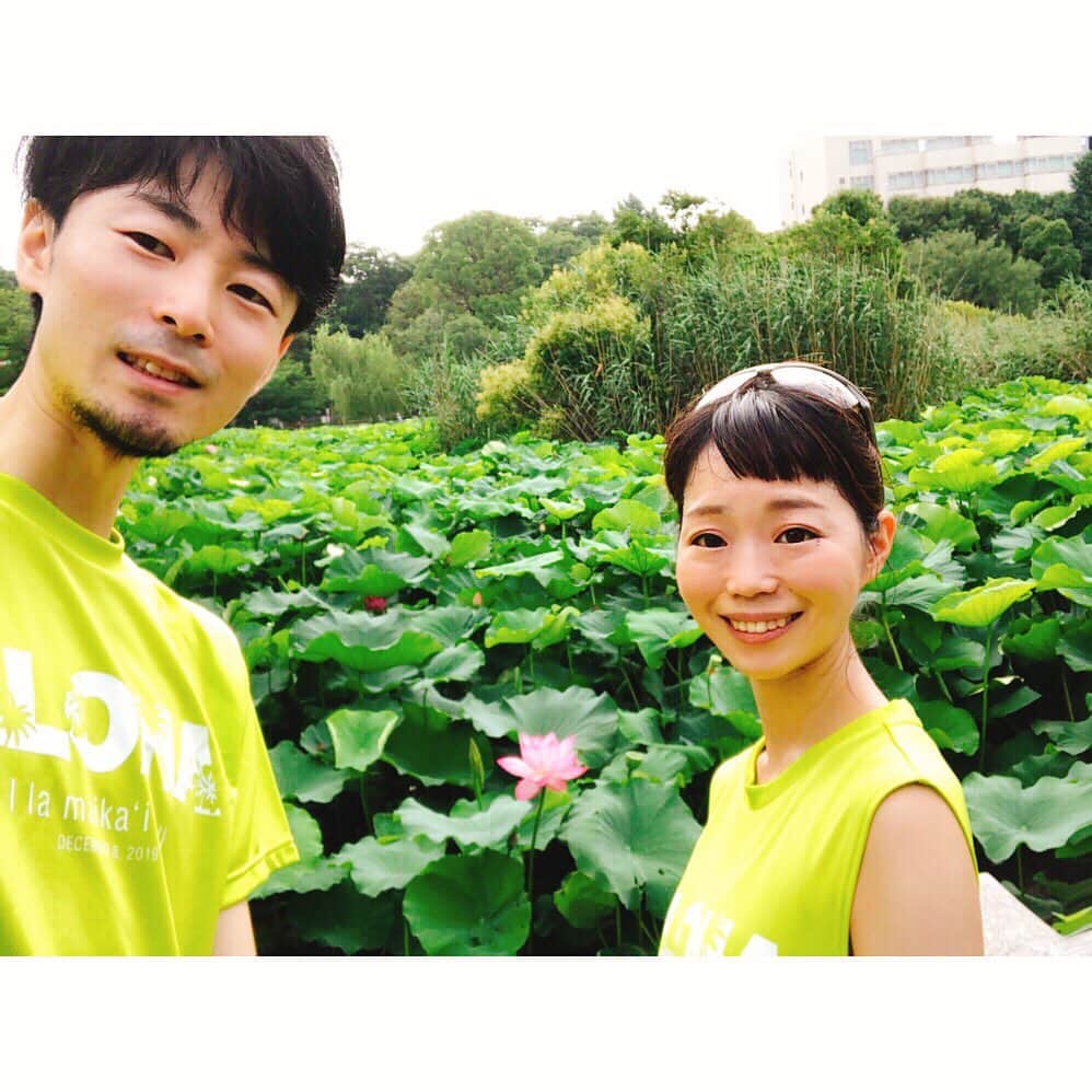 遠藤朋美さんのインスタグラム写真 - (遠藤朋美Instagram)「先日の朝、蓮畑を見に、走りに行ってきました。 ・ ドディです、こんにちは。 ・ 蓮を見に行くことが夏の楽しみの一つになりそうです。 ゴーヤとスイカとモロヘイヤがあるおかげで夏が好きです。 あとシソの葉とみょうがも好きです。 ・ 朝露が葉っぱの上に載って 風に揺られるのがきれいで、ずっとぼーっと見ていました。 ・ ゆらゆらしている様子を２枚目にのせたので、 良かったら見てみてください。 ちょっっっとだけ癒されます。 ・ 朝露を見て、走るのさぼっていました。 （さぼっているのがばれる前に あえて自ら先に言うことにしました。） でも、走るのは好きです。 ・ ・ ・ そんなこんなですが、お久しぶりに、 #日本から直行便で行けるリゾートマラソン大会 について。 ・ 7月中に調べ終わるぞ。と思っていて、意気込んでいたのですが、 終わらなかった・・・ と、思っていたら、なんと、終わっていました。 ・ ラスト２！で、フィジーとタヒチ調べようと思ったら、 マラソン大会会場周辺には直行便が無かったという、 ニアミスを起こしていることに気が付いた８月のドディさん。 ・ フィジーマラソンの場合は、 ナンディまで飛んで国内線乗り換え タヒチマラソンの場合は、 パペーテまで飛んで国内線乗り換えでした。 ・ どちらも、新婚旅行なんかにも人気のリゾート地なので、 行ってみたい気持ちは満載。と、いうことで、 ざっくり調べてみることにしました。 ・ ・ ・ ＝＝＝＝☆＝＝＝＝ フィジー・スヴァ国際マラソン ・ ☆シーズン：7月3～4週目の日曜日 ☆国（首都）、場所：リパブリック・オブ・フィジー（スヴァ）/スヴァ ☆言語：英語 ☆直通便フライト時間：‪9時間（ナンディまで行って国内線乗り換え。）‬ ☆フル参加料金：14000円 ☆フル制限時間：‪7時間‬ ☆フルスタート時間：‪5:30‬ ☆種目：フル、ハーフ、10km ＝＝＝＝☆＝＝＝＝ 開催時期が南半球の冬なので、 気温25~8度くらい、比較的すずしいそうです。 あと、物価もお安め、英語も通じて割と過ごしやすそうですね。 ・ ・ ・ ＝＝＝＝☆＝＝＝＝ タヒチ・モーレア国際マラソン ・ ☆シーズン：４月１週目土曜(2020)毎年変わっているようです ☆国（首都）、場所：フランス領/モーレア島 ☆言語：モーレア語 ☆直通便フライト時間：‪11時間（パベーテまで行って国内線乗り換え。）‬ ☆フル参加料金：10000円~15000円 ☆フル制限時間：‪6時間‬ ☆フルスタート時間：‪4:30‬ ☆種目：フル、ハーフ、5km ＝＝＝＝☆＝＝＝＝ タヒチと言えば小さいころ遊んだ人生ゲームの ゴール直前の一マスで、 「タヒチでゴーギャンの絵を買う。２億円支払う。」 と言うマスにあたり、 最後の最後に大暴落する。という 人生ゲームあるあるに陥ったのが懐かしいです。 気を付けようと思います。 ・ タヒチに行ったことは、ありません。 ・ ・ ・  #ドディ #世界を走れドディ #ランニング女子 #ランスタグラマー #running #Marathon #Laufen  #달리기 #마라톤 #跑步 #马拉松 #走ること  #蓮 #蓮畑 #直行便で行けるリゾートマラソン」8月9日 15時48分 - aristocatsthe817