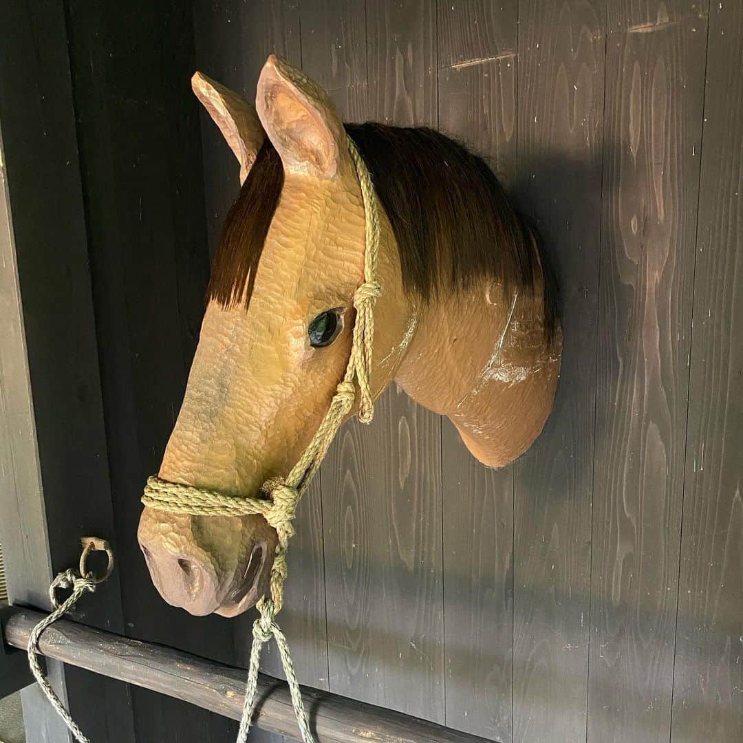 有吉弘行さんのインスタグラム写真 - (有吉弘行Instagram)「こんにちは。  #馬の夏休み2020」8月9日 16時01分 - ariyoshihiroiki