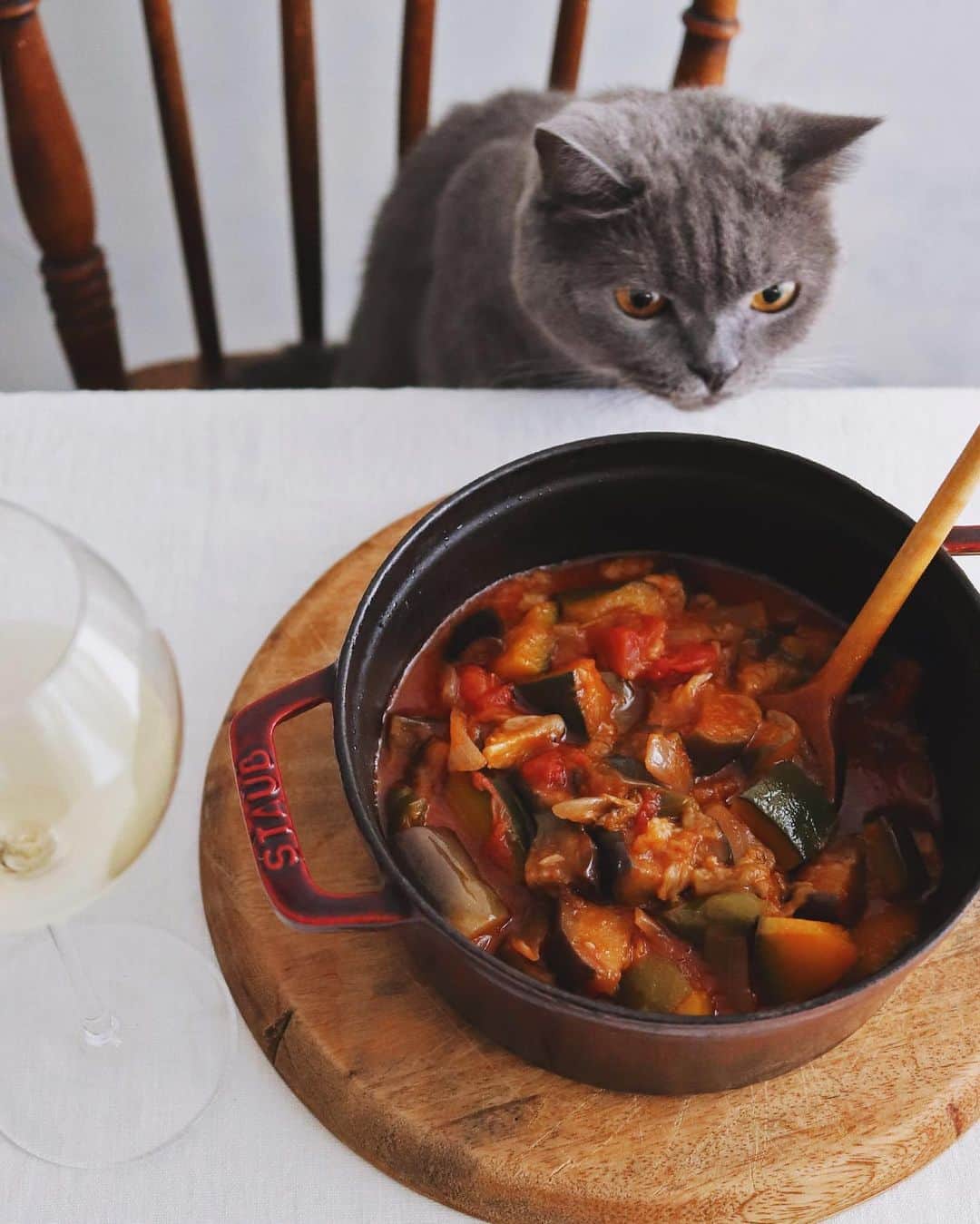 樋口正樹さんのインスタグラム写真 - (樋口正樹Instagram)「Ratatouille . 夕食用に作った ラタトゥイユは お酢を加えてて ちょい酸っぱめ。 . いつもより少し 前のめりのボナ。 たぶん苦手な味。 鼻が良いのか謎。 . . #ラタトゥイユ #ストウブ #ratatouille #staub」8月9日 16時10分 - higuccini