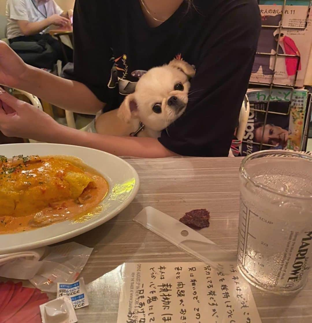 おもちくんさんのインスタグラム写真 - (おもちくんInstagram)「🐨🤝🐦」8月9日 16時20分 - omochi_kun