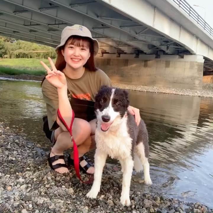 溝川凜のインスタグラム：「鴨川散歩🐾🐶 川遊び💦   #ソニョナラ #sonyunara #鴨川 #散歩 #川遊び」