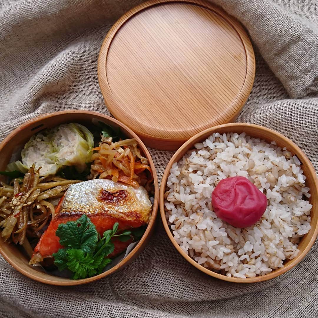 aomojiのインスタグラム