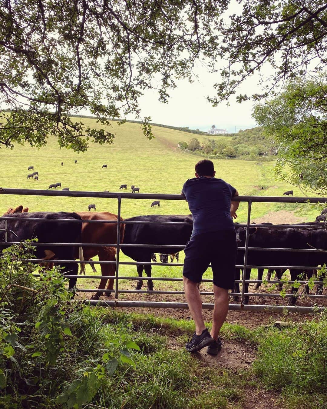 ケリー・ブルックさんのインスタグラム写真 - (ケリー・ブルックInstagram)「He says the smell of Cows reminds him of his Family Farm in Italy 🇮🇹🐄」8月9日 17時23分 - iamkb