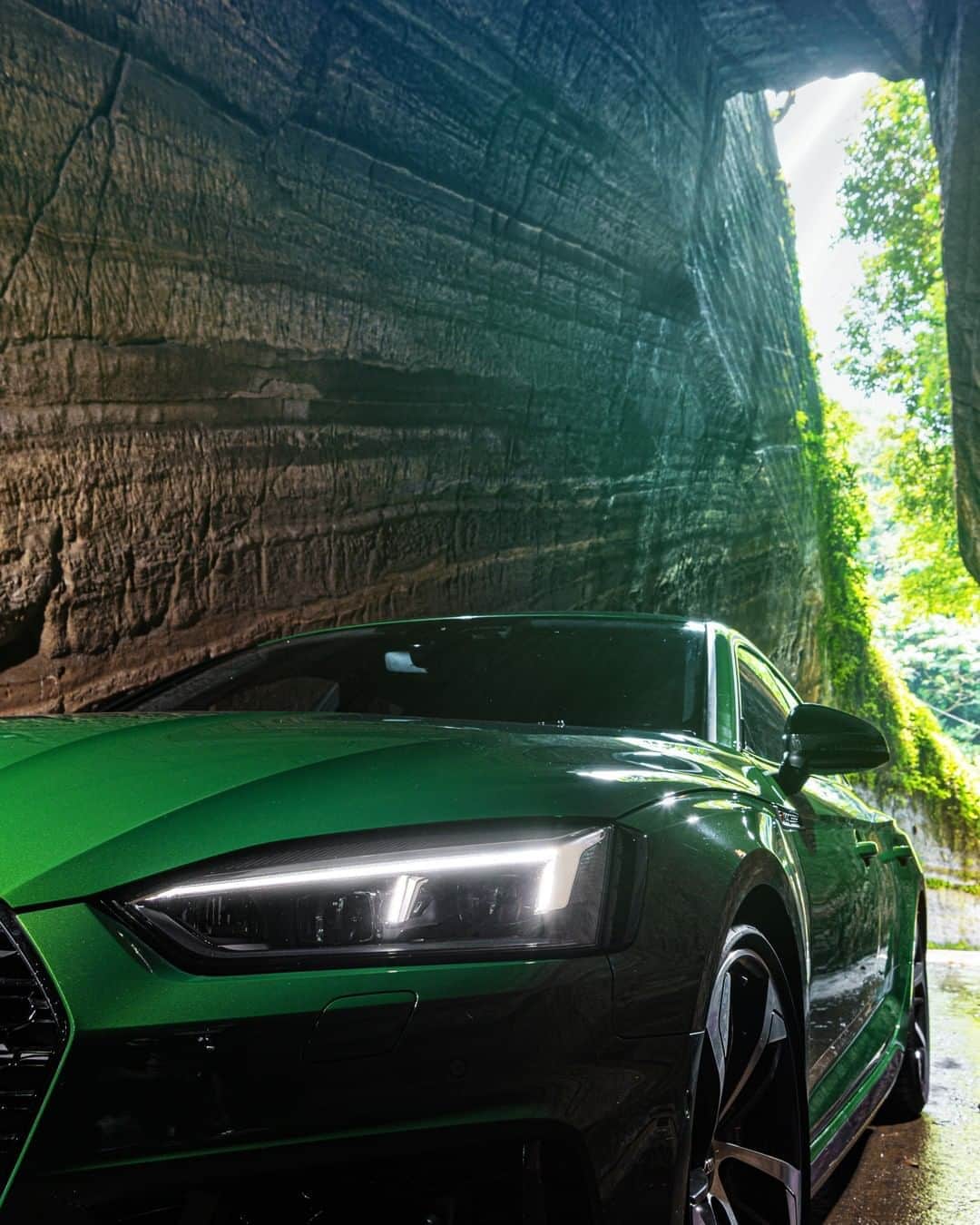 アウディ ジャパンさんのインスタグラム写真 - (アウディ ジャパンInstagram)「燈籠坂大師堂へと続く切通しトンネルを走り抜けるAudi RS 5。 スポーティな雄姿をより際立てるソノマグリーンメタリックと、神秘的な光との競演。  #Audi #AudiRS5 #アウディRS5 #Audijapan #AudiSport #アウディ #carwithoutlimits #carsofinstagram #Audiworld #Audigenic #SportCar #スポーツカー #モータースポーツ #車好きな人と繋がりたい」8月9日 18時01分 - audijapan