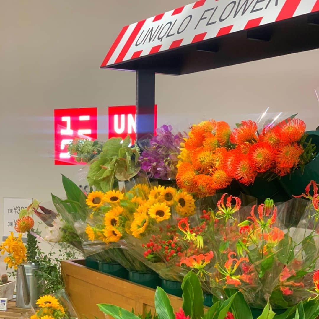小松彩夏さんのインスタグラム写真 - (小松彩夏Instagram)「﻿ UNIQLOのプリーツコレクション試着会に行ったときに、今話題のUNIQLO FLOWERが‼️✨﻿ ﻿ 向日葵をいただいたので、おうちにあったお花と一緒に活けたら、すっごく夏らしく可愛くなった🌻﻿ ﻿ 帰りにお花屋さんに寄ろうと﻿ 思っていたので嬉しい...🥰笑﻿ ﻿ 今度店舗にも行ってみよう🌷✨﻿ ﻿ UNIQLOの2020FWのプリーツコレクション可愛すぎたので、今度ご紹介します😉💕﻿ ﻿ #UNIQLO #ユニクロ #UNIQLOFLOWER #ユニクロフラワー #フラワー #Flower#花好き #花のある暮らし #花のある生活 #花 #花瓶 #お花 #向日葵 #花好きな人と繋がりたい  #花が好き」8月9日 18時20分 - official_ayaka_502