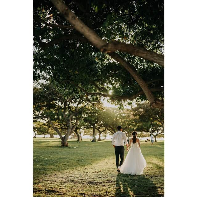 のインスタグラム：「ハワイのフォトツアーならCheers Wedding ﻿ ﻿ ハワイウェディング専門のプロデュース会社だからこそ叶う。﻿ ハワイウェディングフォトツアー🌴﻿ ﻿ ***********************﻿ ﻿ 🌻8月限定キャンペーン🌻﻿ 8月31日までのお申込限定🙏﻿ ﻿ フォトツアーのお衣装👗(ドレス/タキシード)アップグレードプレゼント($380相等)﻿ ﻿ ※新規お申込み時限定特典です。 ﻿ ﻿ ※キャンペーンをご利用の際は必ずお申込み時にお伝えください。お申込み後の適用はお受け出来かねます。 ﻿ ﻿ ※他キャンペーンとの併用不可となります。 ﻿ ﻿ *********************** ﻿ 【お問合せ】﻿ https://www.cheerswedding.jp﻿ ☎︎0120-128-828﻿ 平日11:00〜19:00／土日祝10:00〜19:00﻿ ※水曜・木曜定休﻿ ***********************﻿ ﻿ ▼ウェディングパーク海外﻿ チアーズウェディングで検索﻿ ‭https://foreign.weddingpark.net/agentlist/100063‬/﻿ ﻿ ▼挙式はこちら﻿ @cheers_wedding ﻿ ﻿ #チアーズウエディング﻿ #ハワイウェディング﻿ #フォトウェディング﻿ #リゾートウェディング　﻿ #フォトツアー﻿ #ハワイ旅行﻿ #ハワイ挙式﻿ #ハワイ婚﻿ #cheerswedding﻿ #hawaiiwedding﻿ #日本中のプレ花嫁さんと繋がりたい﻿ #ウェディングニュース﻿ #プレ花嫁　﻿ #卒花嫁﻿ #前撮り　﻿ #後撮り﻿ #ハワイ前撮り ﻿ #ハワイ後撮り﻿ #結婚準備﻿ #ハワイフォトツアー﻿ #ウエディングフォト﻿ #フォトウェディング﻿ #ハワイハネムーン﻿ #ハネムーンフォト﻿ #ウェディングフォト ﻿ #コロナ結婚式﻿ #コロナ復活﻿ #花嫁応援企画」