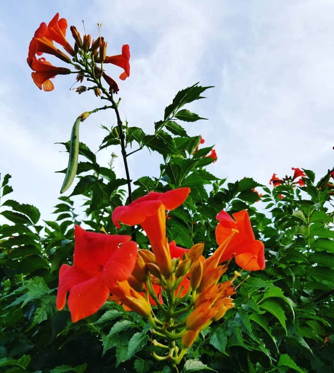 谷口キヨコのグルメインスタ