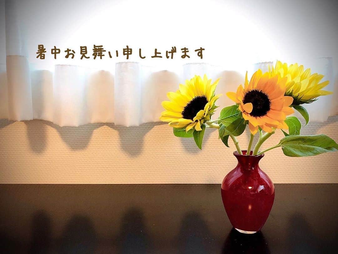 藤井美加子さんのインスタグラム写真 - (藤井美加子Instagram)「☆﻿ 暑中お見舞い申し上げます💛🌻﻿ ﻿ 2020年夏﻿ 旅行も里帰りも出来ないけれど﻿ いつか思い出として語るとき﻿ 笑って話せる時がきますように。﻿ ﻿ ﻿ #2020年夏#きっと忘れない#思い出つくろう#ひまわり#花言葉#あなただけをみつめる  #summer#sunflower#flowers」8月9日 18時26分 - mikako_miki