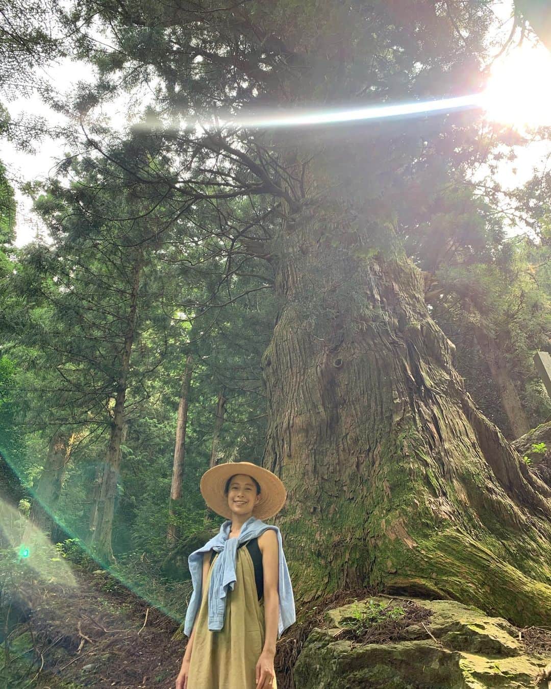 AYUMIさんのインスタグラム写真 - (AYUMIInstagram)「大きな杉の木のしたで🌿✨ どっしりとした大きな大きな杉の木 あるがままの力強さを感じて💫 . #大きな杉の木 #あるがまま #今日という日にも感謝して」8月9日 18時36分 - ayumiayunco