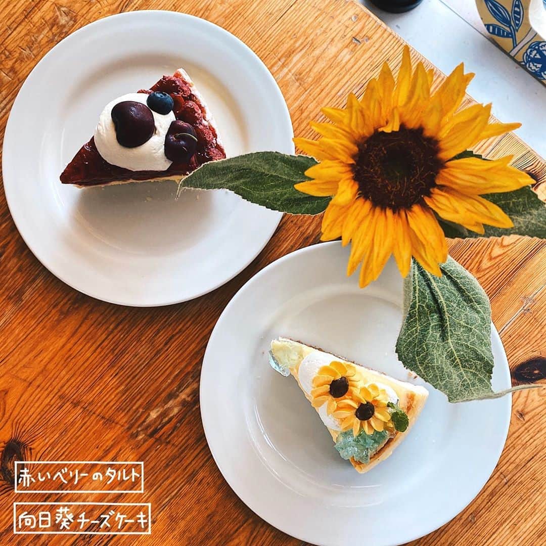 4foodie, for foodieさんのインスタグラム写真 - (4foodie, for foodieInstagram)「📍️Tokyo, Japan Sunday Brunch / 以下餐點及價位 向日葵チーズケーキ / ¥1180 (Drink Set) 美味程度(おいしさ)：🌕️🌕️🌕️🌗🌑 💡補充💡向日葵起司蛋糕🌻上面的花是用巧克力做成的，旁邊還有放上些許果凍裝飾！起司蛋糕吃起來頗為紮實🍰😋注意這是期間限定的喔！ 赤いベリーのタルト / ¥1180 (Drink Set) 美味程度(おいしさ)：🌕️🌕️🌕️🌑🌑 💡補充💡紅莓口味的塔，上面有鮮奶油和櫻桃🍒中間的部分口感吃起來像果凍，還吃得到紅莓的籽很天然的感覺🤣不過有點酸～ 整體： 環境衛生(店内環境)：🌕🌕🌕🌕🌑 服務態度(サービス度)：🌕🌕🌕🌕🌗 再訪意願(リピート率)：🌕🌕🌕🌑🌑 🗺 	東京都世田谷区北沢2-29-2 フェニキアビル 2F 🚇 下北沢駅 ☎️ (03)5453-3366  ⏰ 11:00～21:00 🍽2020.07.20 到訪用餐 #4foodie #4foodieinjapan #Tokyo #japan #shimokitazawa #下北沢 #チーズケーキ #タルト #下北沢カフェ #カフェめぐり #スイーツ #日本美食 #日本甜點 ©版權所有，不得轉載copyrights reserved」8月9日 18時47分 - 4foodie