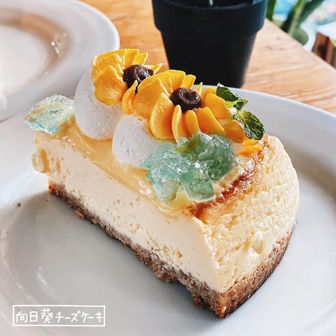 4foodie, for foodieさんのインスタグラム写真 - (4foodie, for foodieInstagram)「📍️Tokyo, Japan Sunday Brunch / 以下餐點及價位 向日葵チーズケーキ / ¥1180 (Drink Set) 美味程度(おいしさ)：🌕️🌕️🌕️🌗🌑 💡補充💡向日葵起司蛋糕🌻上面的花是用巧克力做成的，旁邊還有放上些許果凍裝飾！起司蛋糕吃起來頗為紮實🍰😋注意這是期間限定的喔！ 赤いベリーのタルト / ¥1180 (Drink Set) 美味程度(おいしさ)：🌕️🌕️🌕️🌑🌑 💡補充💡紅莓口味的塔，上面有鮮奶油和櫻桃🍒中間的部分口感吃起來像果凍，還吃得到紅莓的籽很天然的感覺🤣不過有點酸～ 整體： 環境衛生(店内環境)：🌕🌕🌕🌕🌑 服務態度(サービス度)：🌕🌕🌕🌕🌗 再訪意願(リピート率)：🌕🌕🌕🌑🌑 🗺 	東京都世田谷区北沢2-29-2 フェニキアビル 2F 🚇 下北沢駅 ☎️ (03)5453-3366  ⏰ 11:00～21:00 🍽2020.07.20 到訪用餐 #4foodie #4foodieinjapan #Tokyo #japan #shimokitazawa #下北沢 #チーズケーキ #タルト #下北沢カフェ #カフェめぐり #スイーツ #日本美食 #日本甜點 ©版權所有，不得轉載copyrights reserved」8月9日 18時47分 - 4foodie
