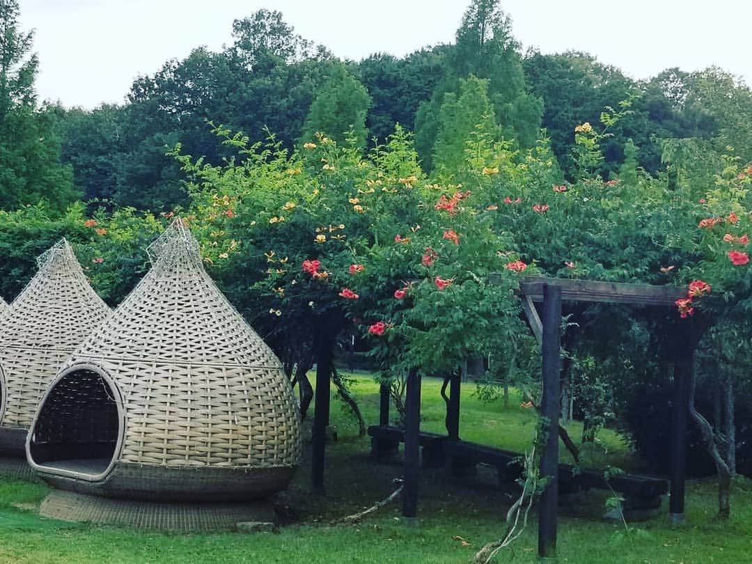 谷口キヨコのグルメインスタ