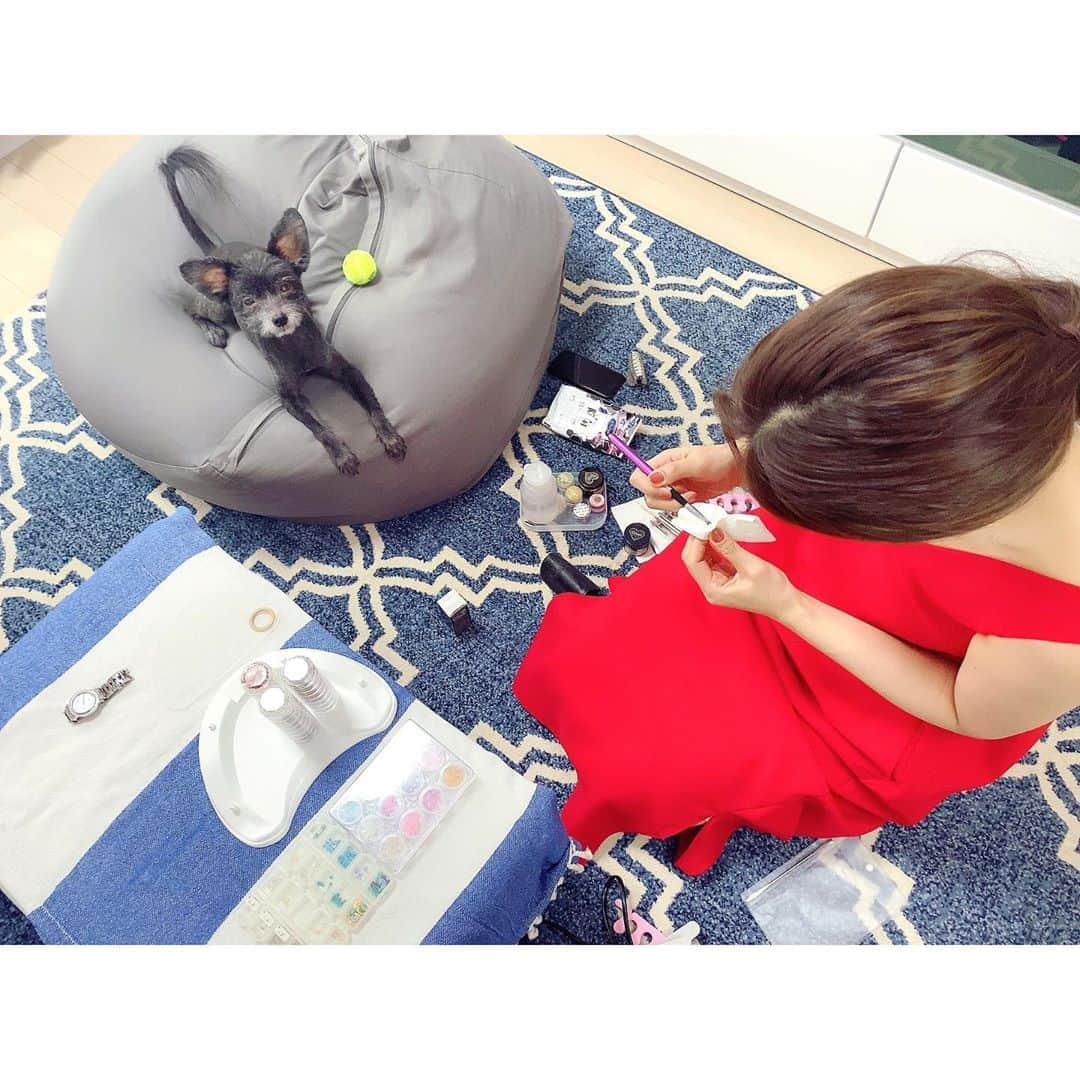 渡辺知夏子さんのインスタグラム写真 - (渡辺知夏子Instagram)「友達がお家でフットネイルしてくれました✨😆 透け感のあるブラウン✨ グリーンとゴールド箔とシェルも付けてくれました✨ こんなに綺麗に作ってくれて趣味で ジェルネイル出来るってスゴ過ぎっ😆✨ もずくも興味津々でした🐶💕  #footnail #jelneil #chikakonails」8月9日 19時15分 - chikako_724