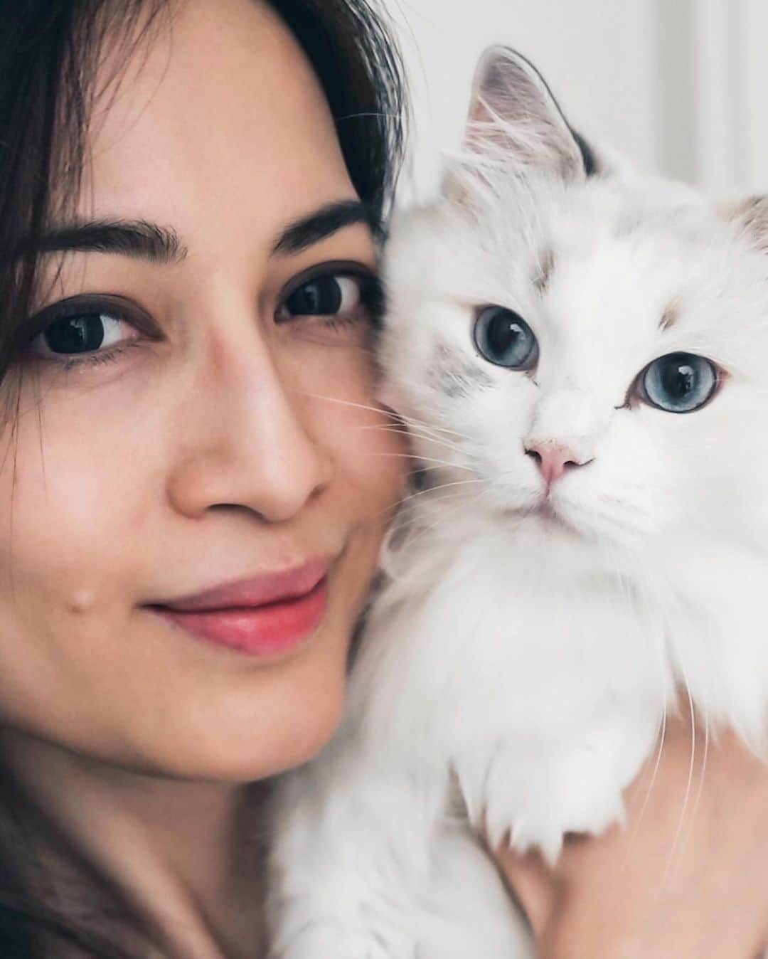 Ruby Kwanさんのインスタグラム写真 - (Ruby KwanInstagram)「1 or 2? 😸 Swipe.⁠  Luna is joining me to support the @nonhuman.rights.project to secure the civil rights for animals. 👁️😻👀 @hourglasscosmetics #hg_eyetoeye #hgcrueltyfree⁠  Loving this Hourglass #UnlockedMascara. Lashes are more lifted and defined.  Most importantly, it didn't smudge. #HourglassCosmetics #UnlockTheImpact #rougeclosetbeauty⁠⠀」8月9日 19時15分 - rougecloset