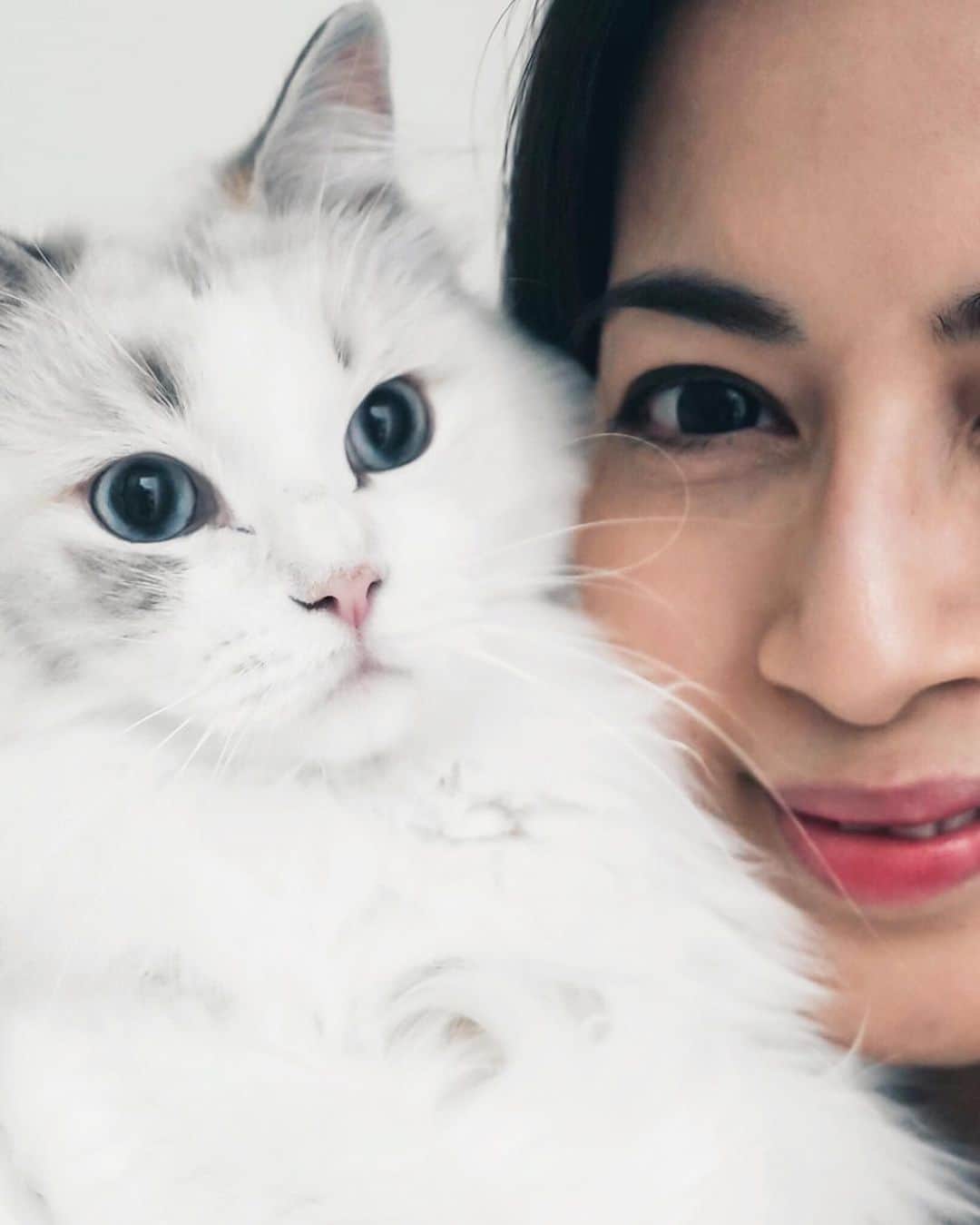 Ruby Kwanのインスタグラム：「1 or 2? 😸 Swipe.⁠  Luna is joining me to support the @nonhuman.rights.project to secure the civil rights for animals. 👁️😻👀 @hourglasscosmetics #hg_eyetoeye #hgcrueltyfree⁠  Loving this Hourglass #UnlockedMascara. Lashes are more lifted and defined.  Most importantly, it didn't smudge. #HourglassCosmetics #UnlockTheImpact #rougeclosetbeauty⁠⠀」
