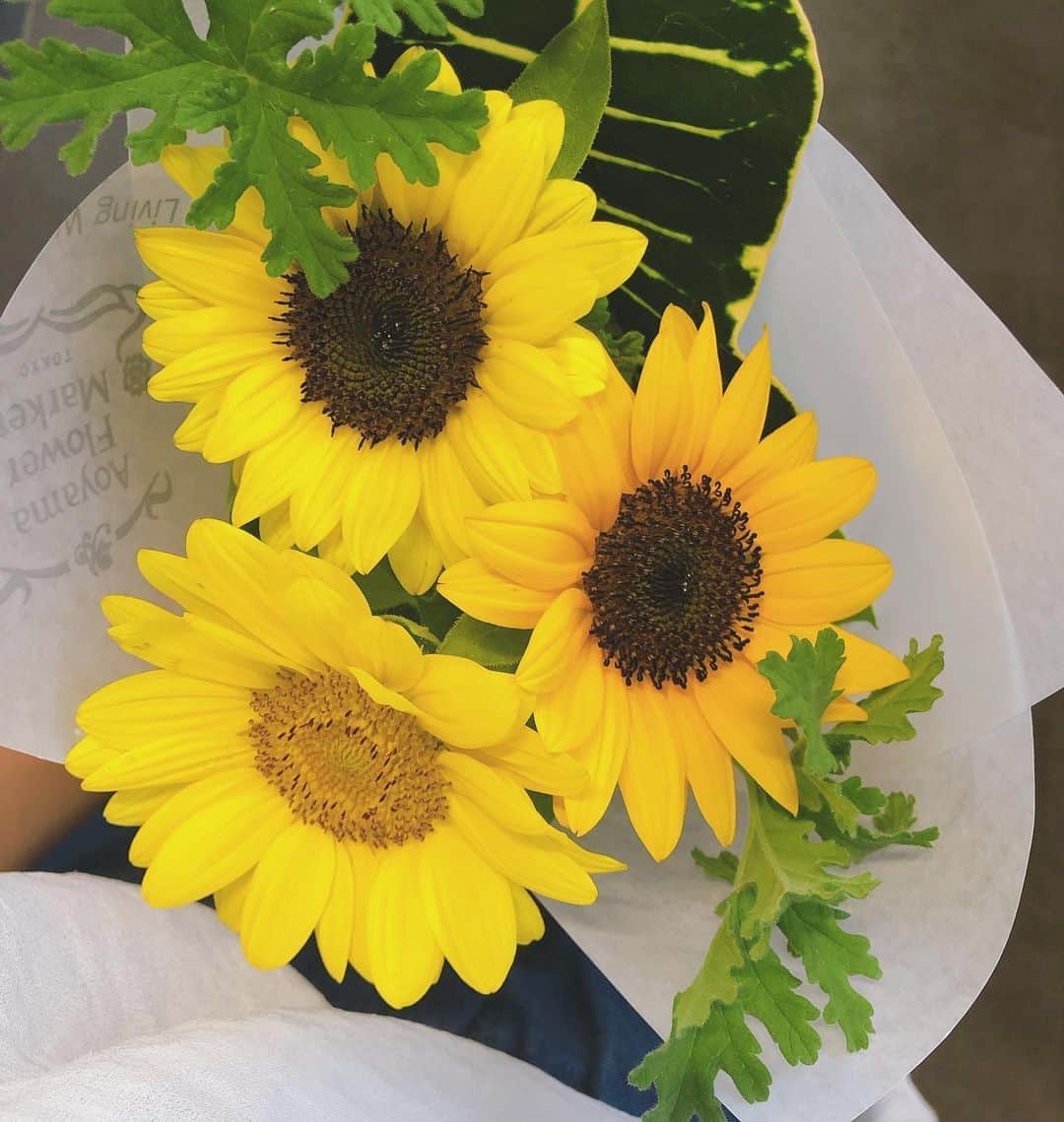のインスタグラム：「. あの日の自分へ🌼  ありがとう 大好き、愛してる  よくがんばったよ  こんな言葉なかなか言えなかった でも誰の目も怖くない  心から自信を持って言える  自分に愛を送る日  自分らしく生きる事を教えてくれた天国の娘に感謝💕✨  #愛#平和#感謝#ひまわり#花#ありがとう #自分らしく生きる#人生の転機#flowers #love」