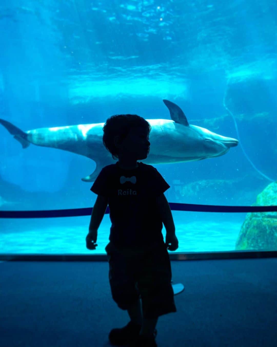 りかこのインスタグラム：「久しぶりの名古屋港水族館🦈🐬🐳🐋🐠 イルカさんをただぼ〜っと眺めて一日過ごしたいな🍣 #名古屋港水族館 #🐬」