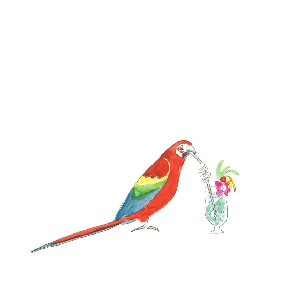 ハルペイさんのインスタグラム写真 - (ハルペイInstagram)「☀️☀️☀️☀️☀️☀️☀️ 夏！だね ☀️☀️☀️☀️☀️☀️  #チューチュー #水分補給  #今日も暑かった #熱中症に注意  . #猛暑 #夏休み #トロピカル#コンゴウインコ#インコ #parrots #tropical  #summer   #harupei#ハルペイ#doodle#draw#drawing#illustrator#illustration#japan#絵#雑貨#湘南#イラスト#イラストレーター#ゆるい#茅ヶ崎」8月9日 19時34分 - harupeipei